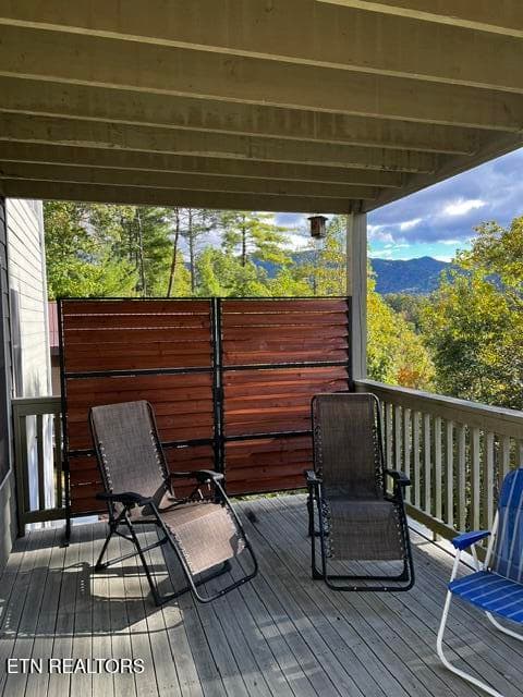 Lower Deck - 228 Ace Gap Rd, Townsend, TN 37882