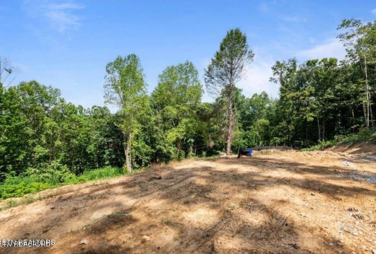 IMG_0628 - 353 Walden Ridge Lane, Caryville, TN 37714