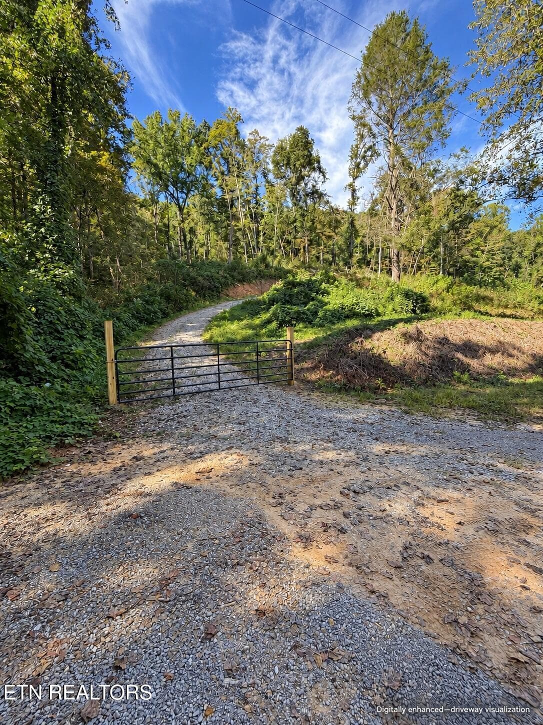 0B6FFA57-E5D1-4AC0-9F32-BAB79BB341BD - 353 Walden Ridge Lane, Caryville, TN 37714