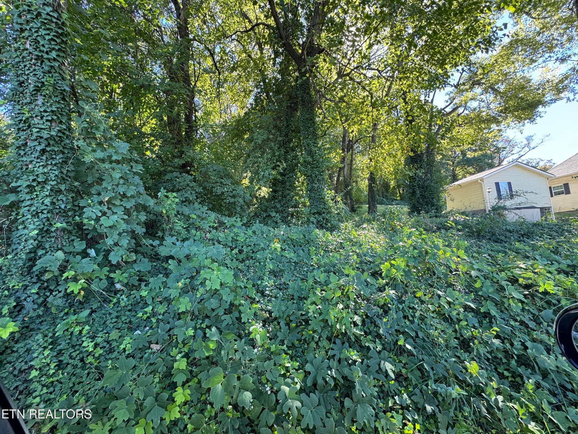 0 Massachusetts Ave 0, Knoxville, TN 37921