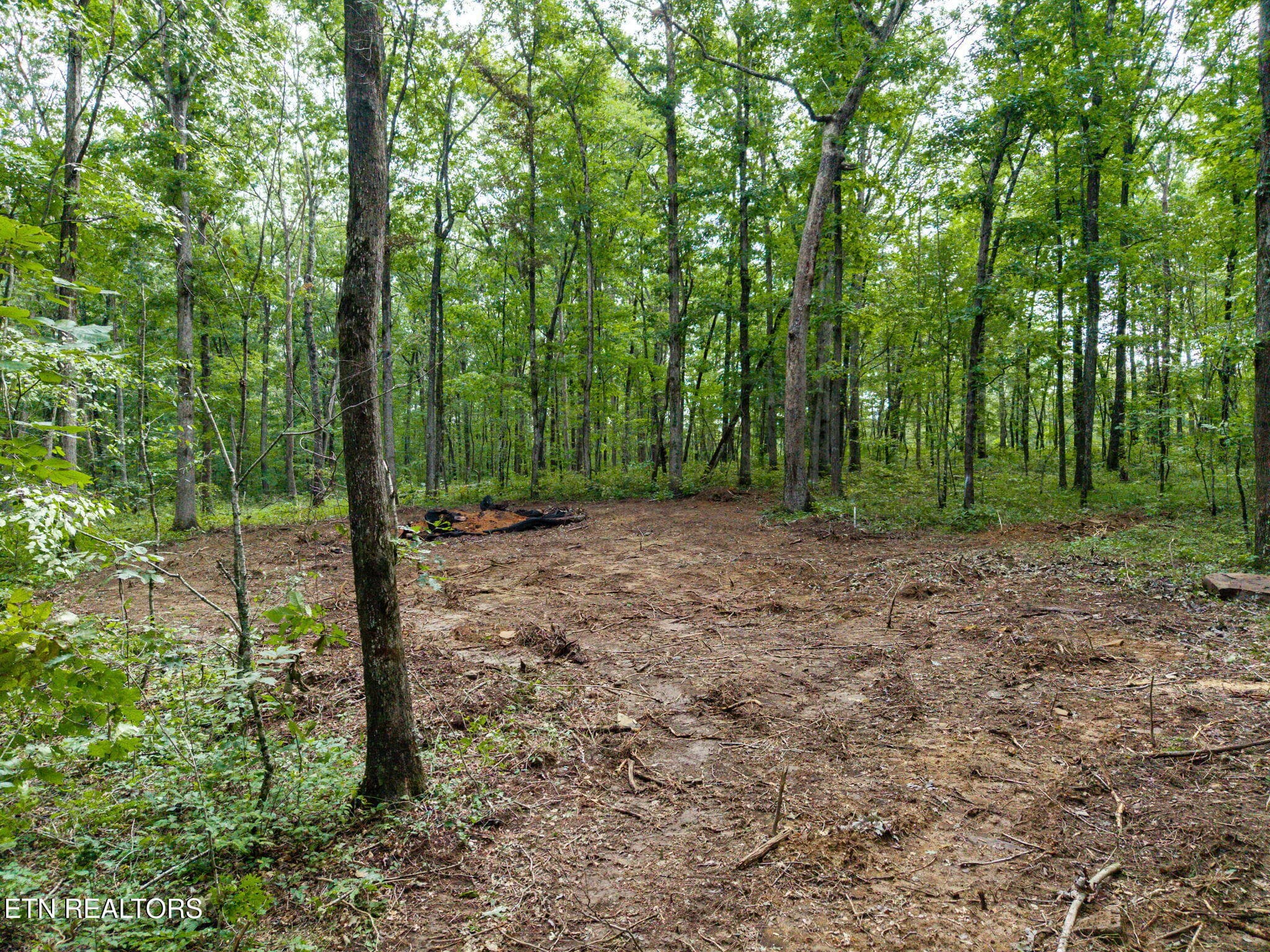 10-web-or-mls-Killary Dr_110_TNPC-HDR - Killary Rd, Crossville, TN 38572