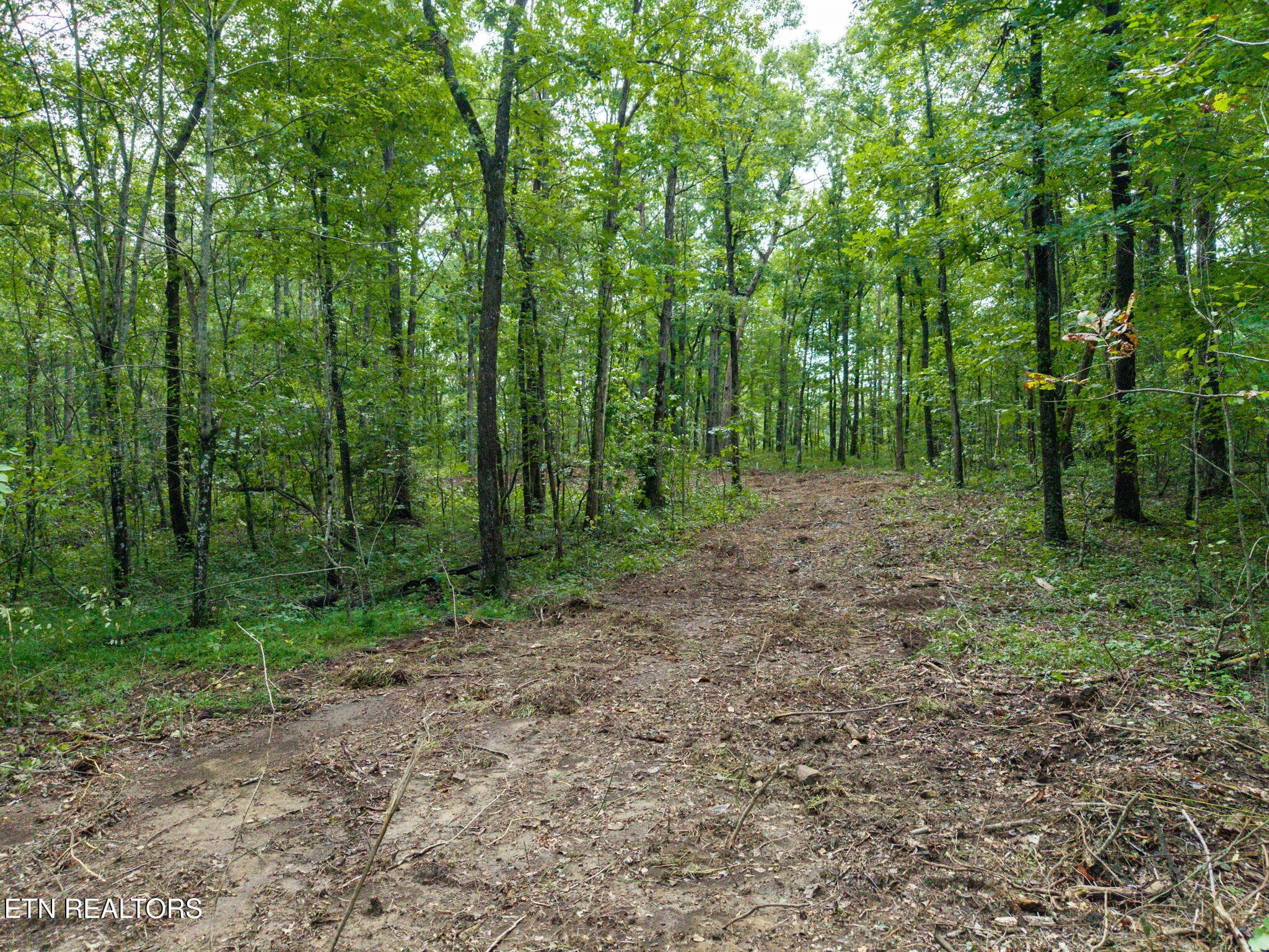 11-web-or-mls-Killary Dr_125_TNPC-HDR - Killary Rd, Crossville, TN 38572