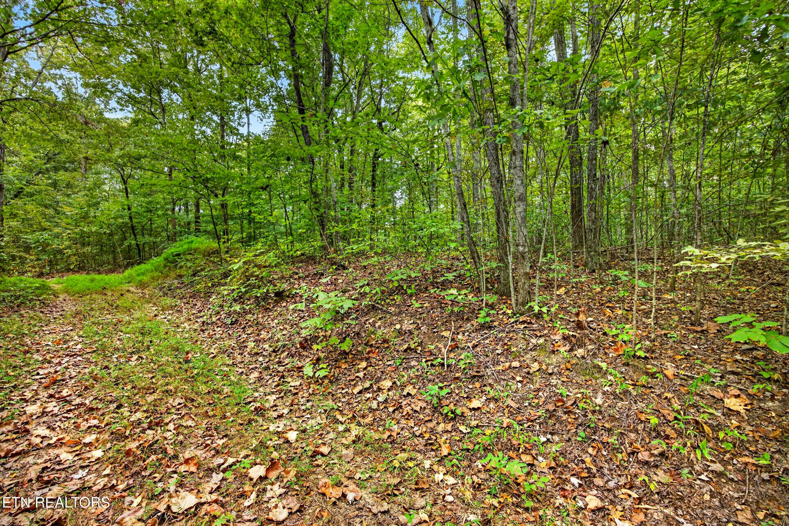 Lot X & 22 Colepin Lane, Celina, TN 38551