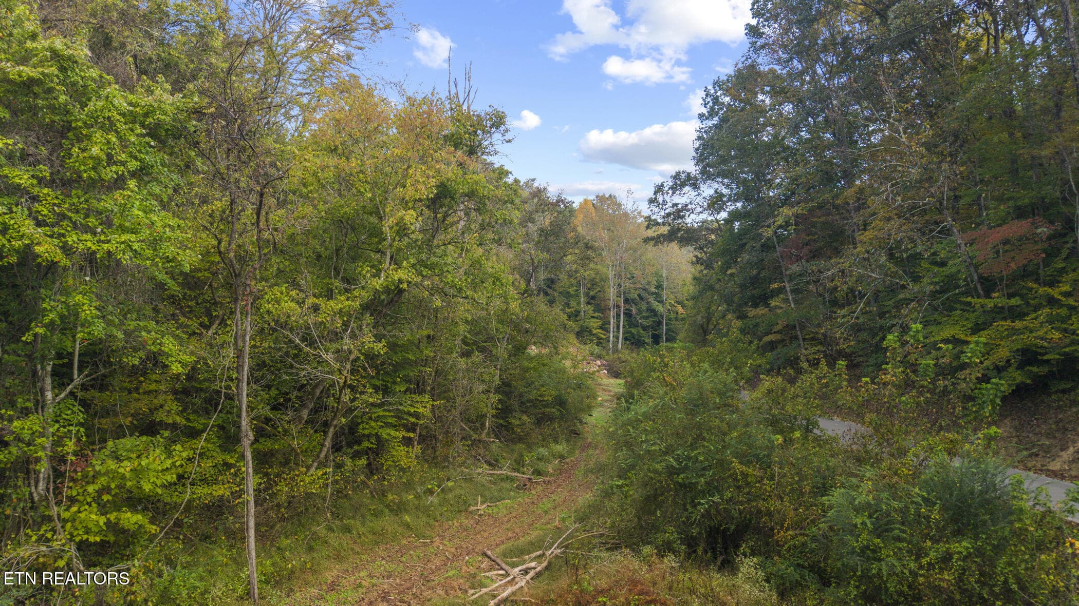 dji_20261014093310_0407_d - Long Branch Rd, Seymour, TN 37865
