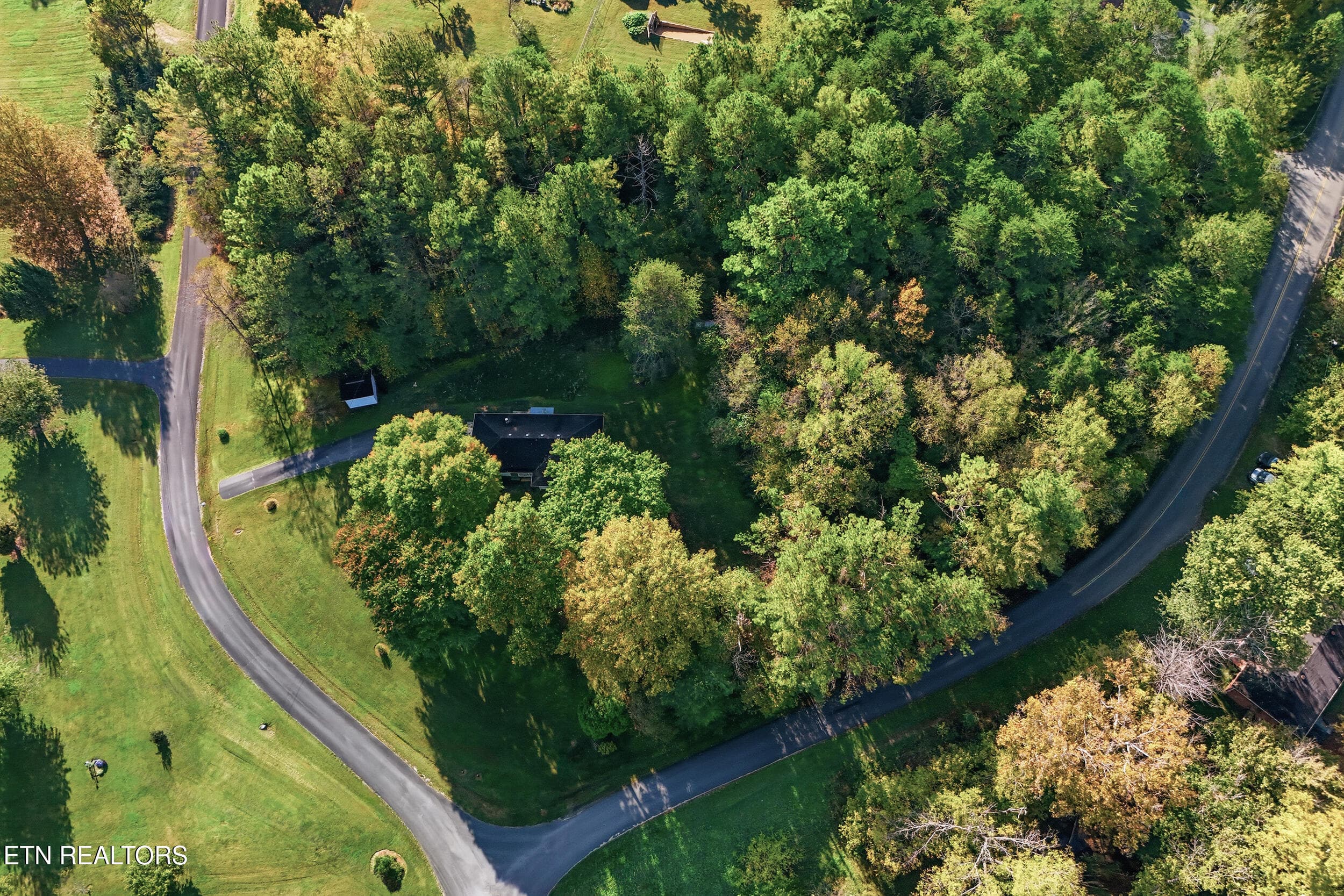 31_113eastdr_031 - 113 East Drive, Parrottsville, TN 37843