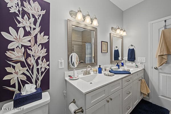 MASTER BEDROOM BATH BASINS - 173 Piper Glen, Gray, TN 37615