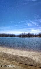 Amenity-Beach - 8068 Saratoga Drive, Crossville, TN 38572