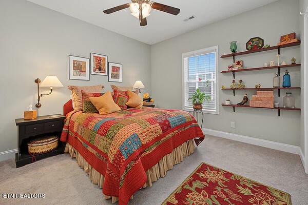Main Guest Bedroom - 173 Piper Glen, Gray, TN 37615