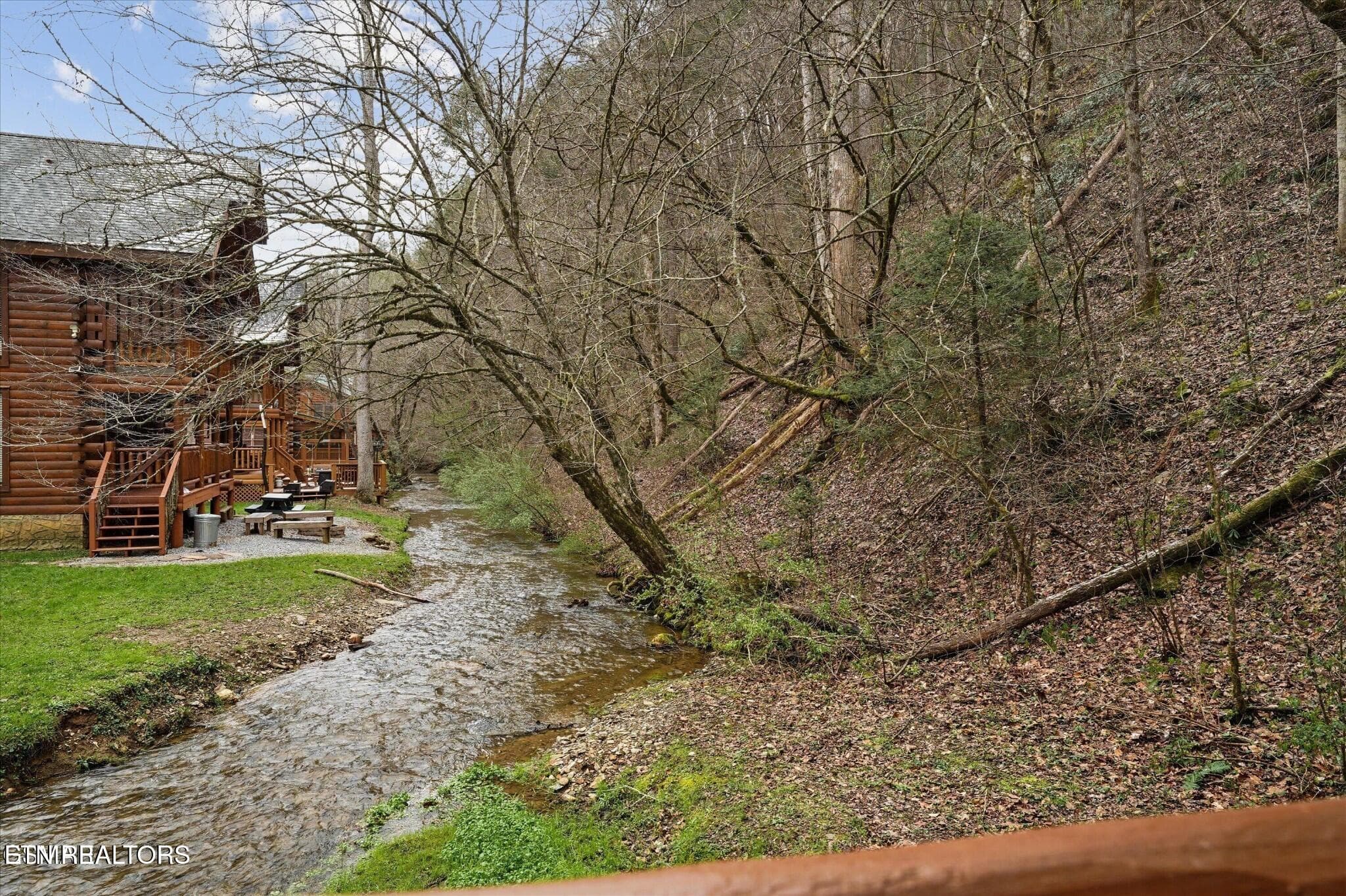 Caney Creek side - 331 Caney Creek Rd, Pigeon Forge, TN 37863