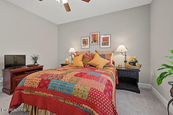 Main Guest Bedroom - 173 Piper Glen, Gray, TN 37615