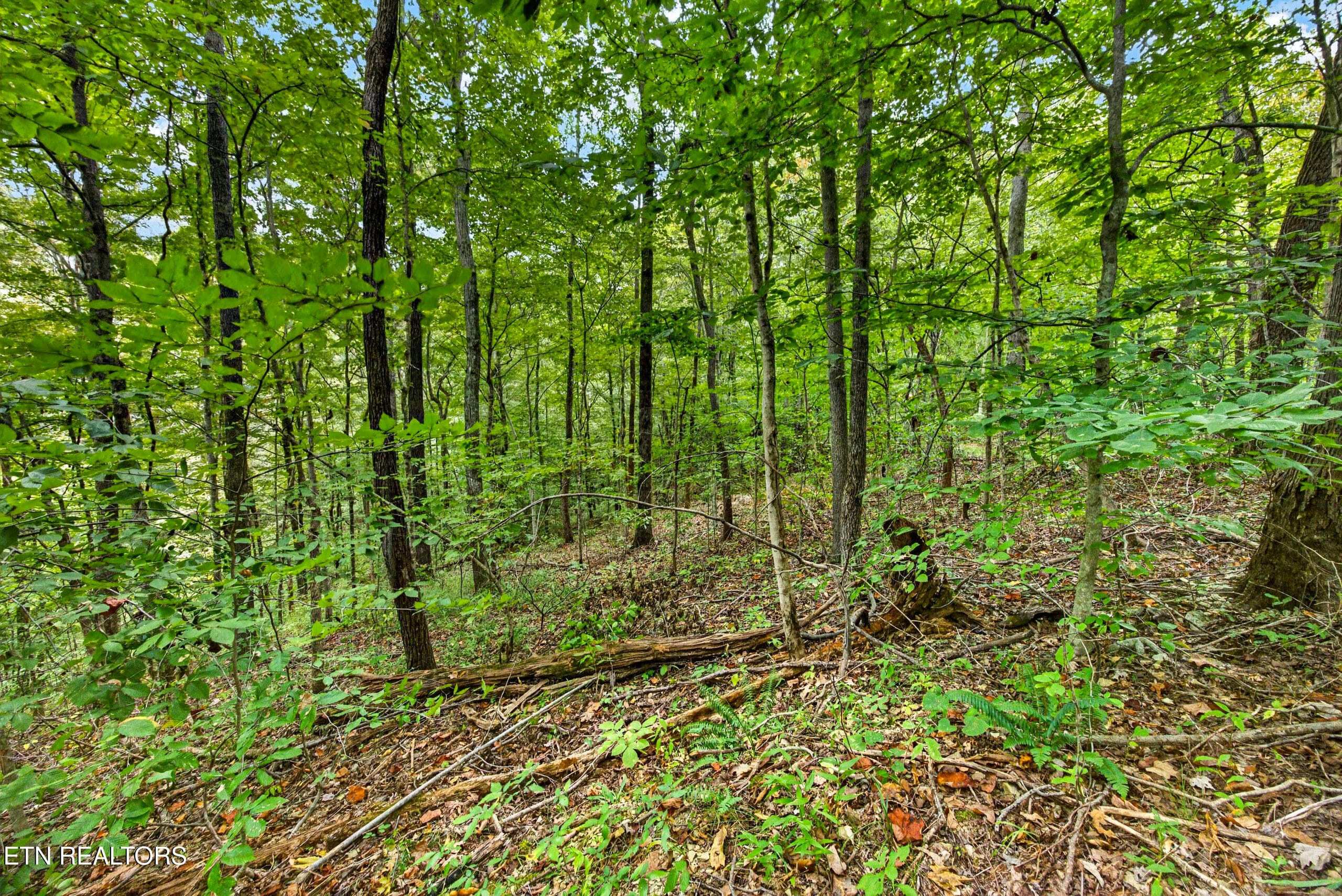 Lot 25&26 Timber Ridge Lane, Celina, TN 38551
