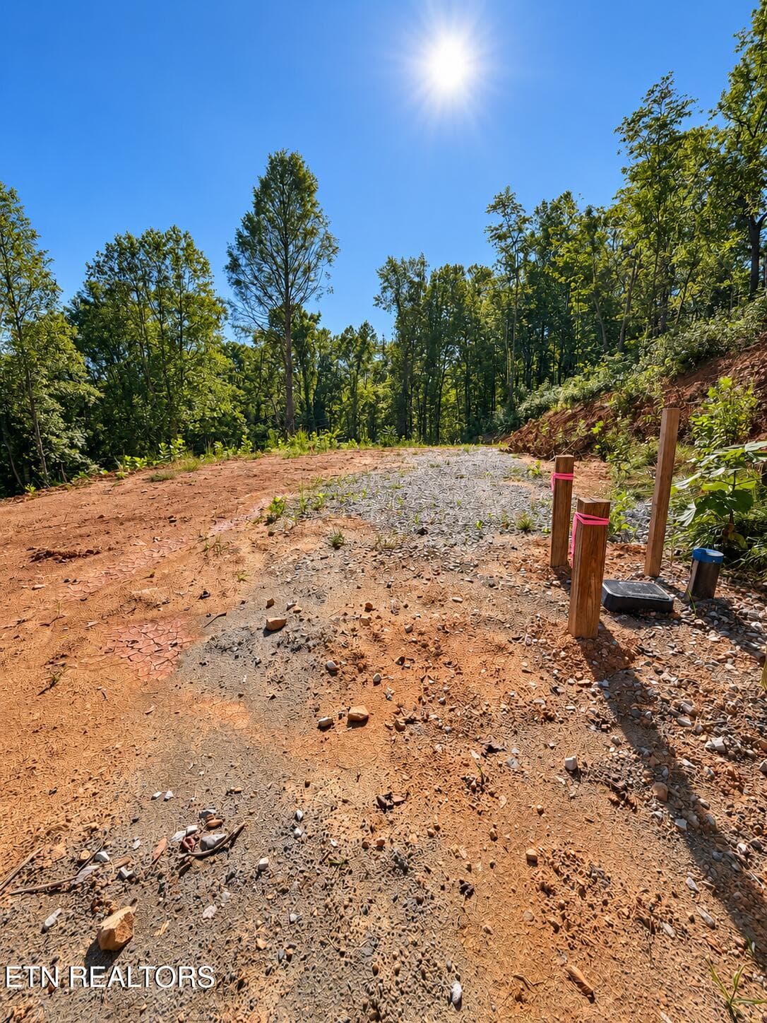 C49AE856-C91F-4925-AF92-D5DFD55081EB - 353 Walden Ridge Lane, Caryville, TN 37714