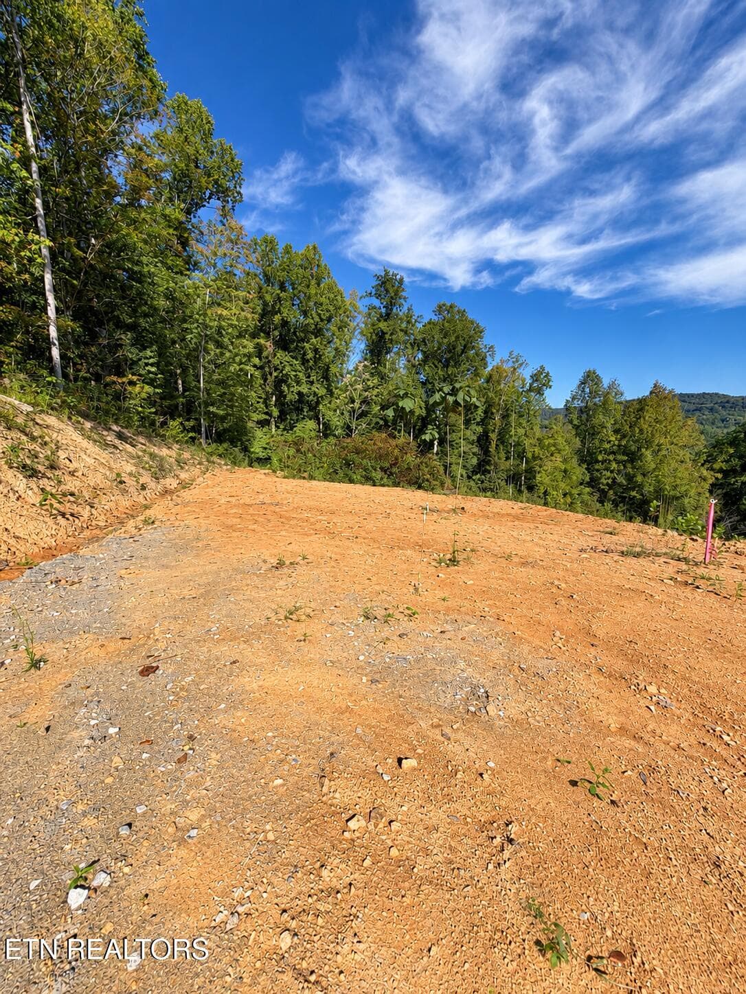 DCD3B15B-7E90-40E3-AF69-9681725F7F7F - 353 Walden Ridge Lane, Caryville, TN 37714