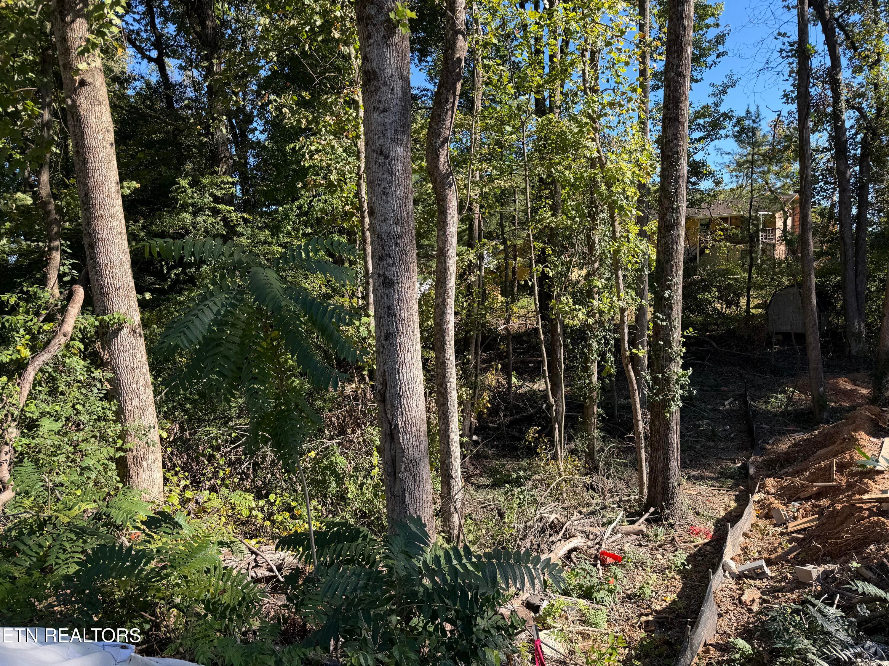 IMG_6194 - 0 Flint Rd, Knoxville, TN 37921