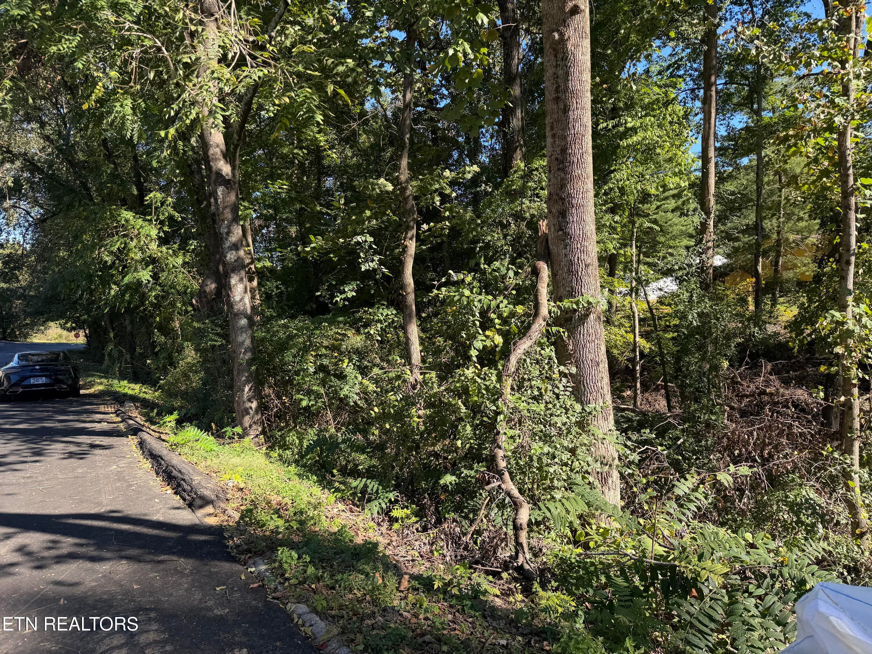 IMG_6195 - 0 Flint Rd, Knoxville, TN 37921
