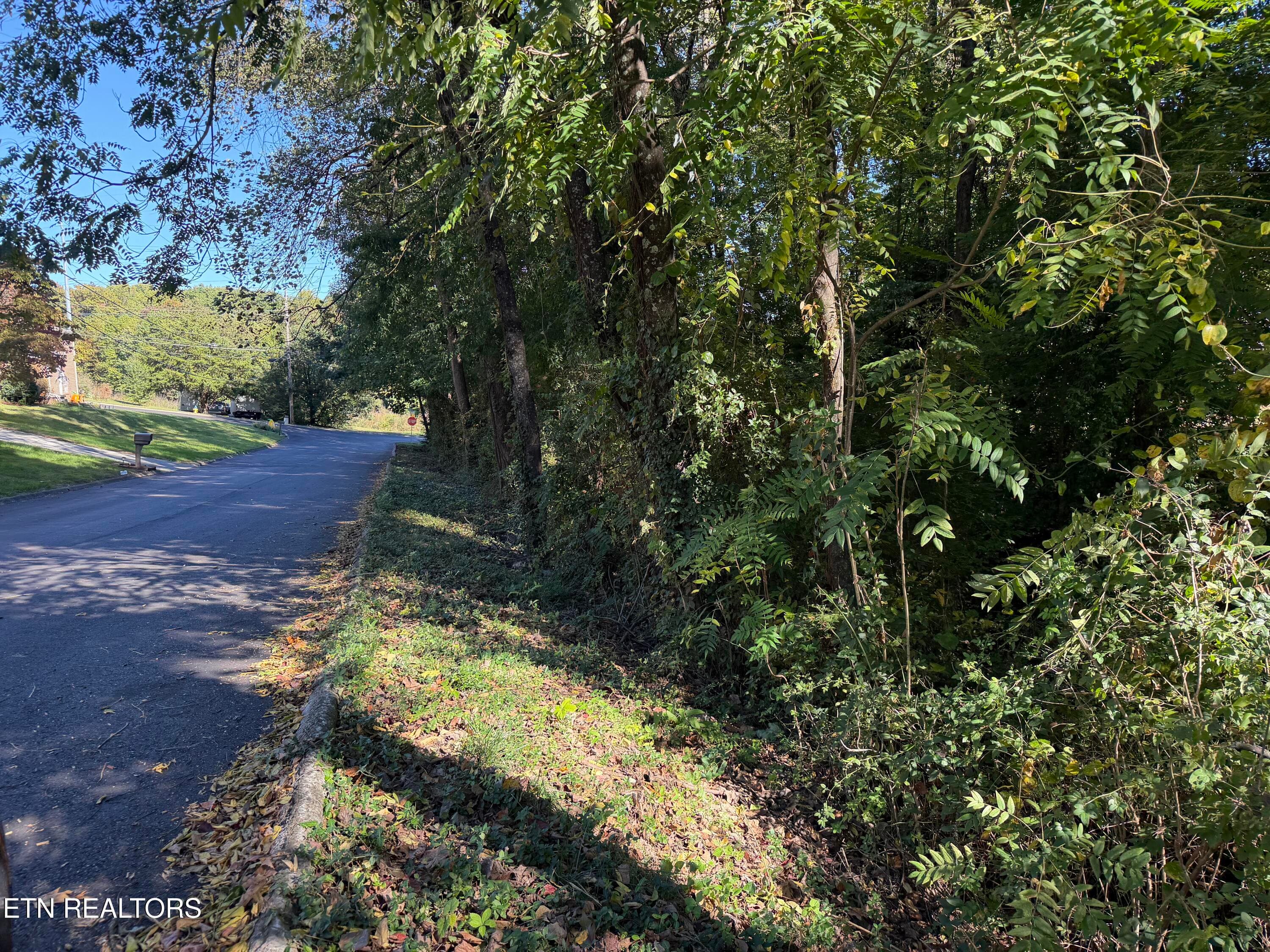 IMG_6199 - 0 Flint Rd, Knoxville, TN 37921