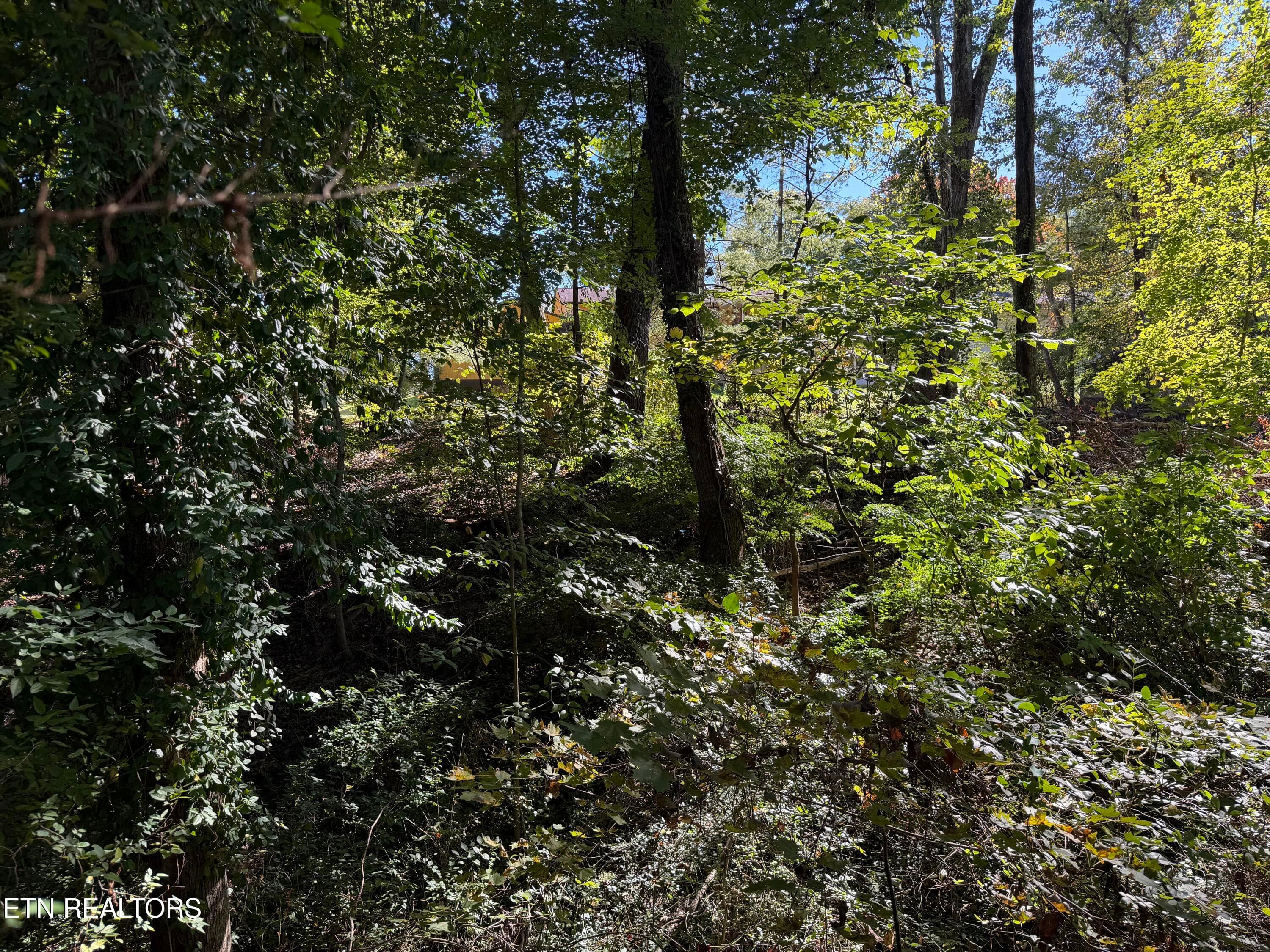 IMG_6201 - 0 Flint Rd, Knoxville, TN 37921