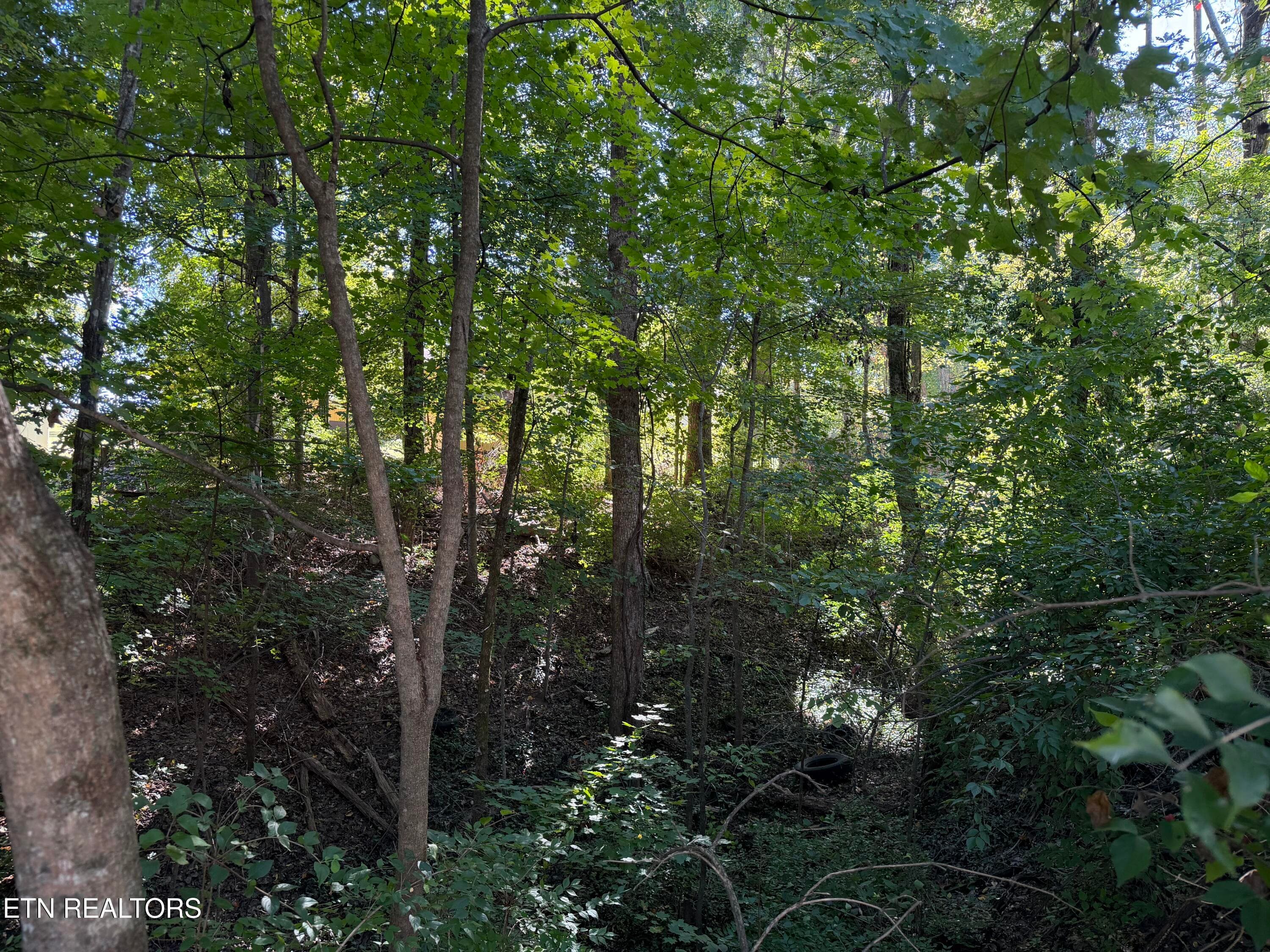 IMG_6210 - 0 Flint Rd, Knoxville, TN 37921