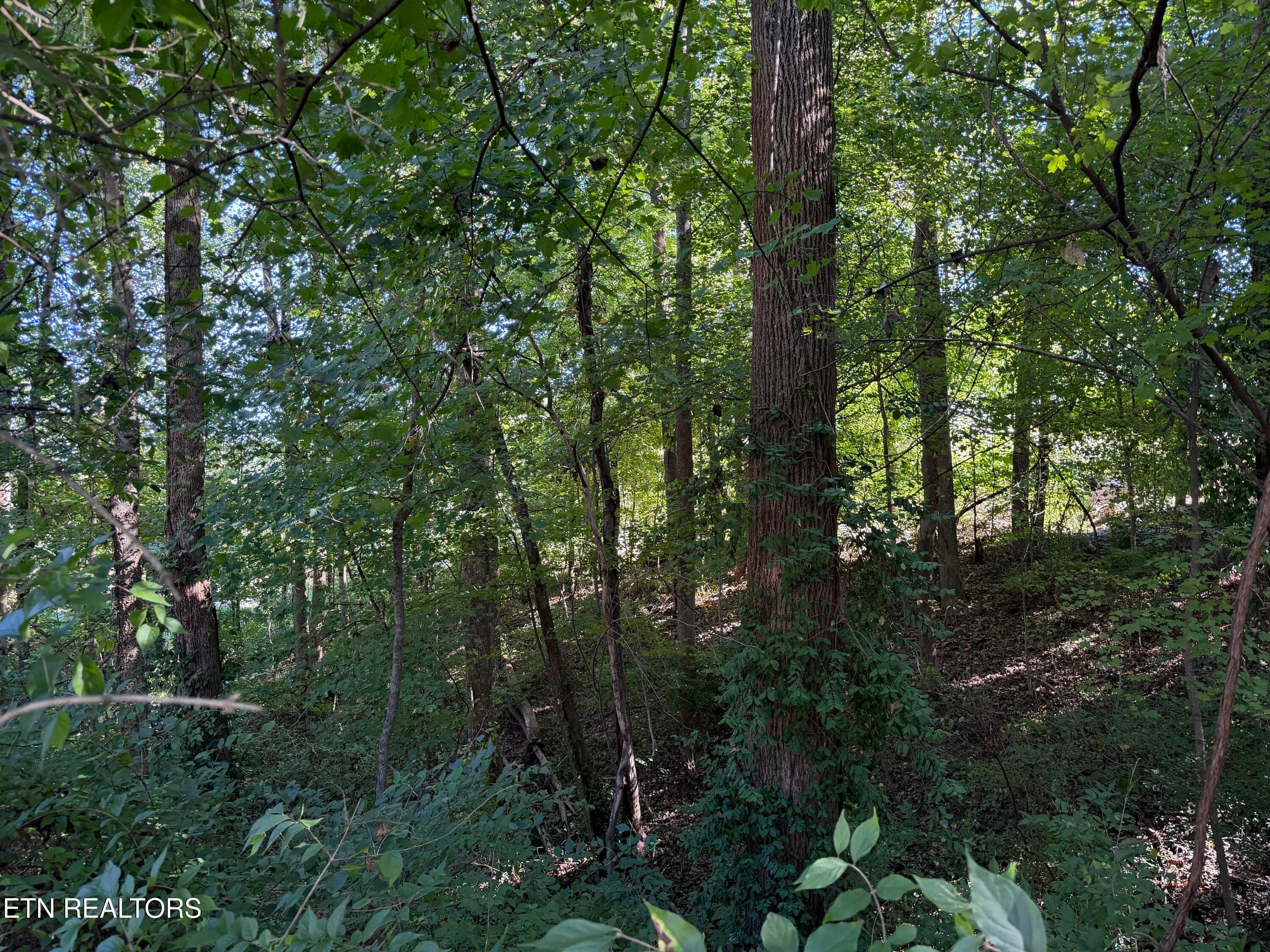 0 Flint Rd, Knoxville, TN 37921