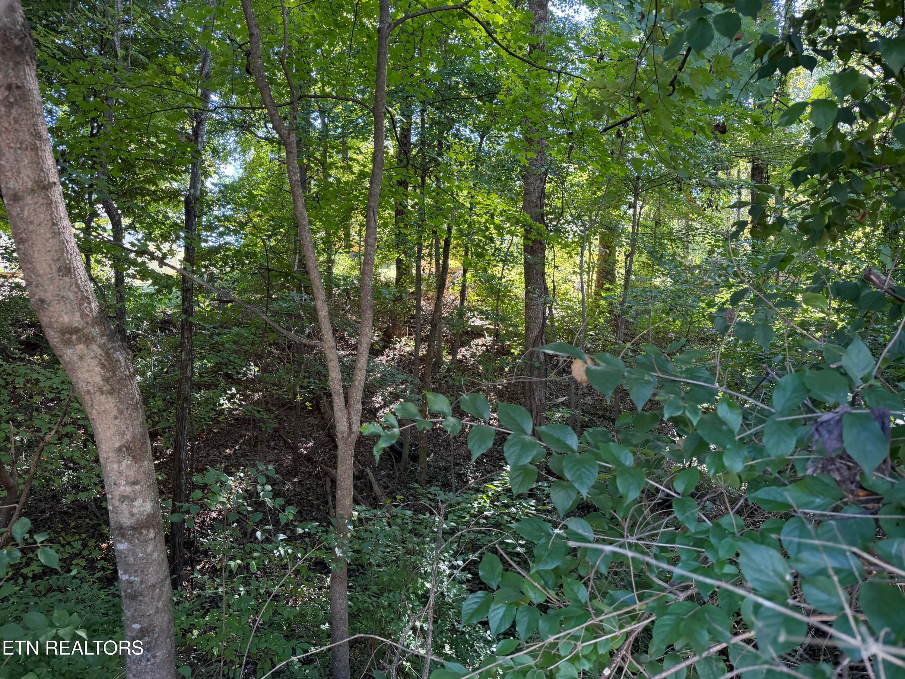 IMG_6209 - 0 Flint Rd, Knoxville, TN 37921