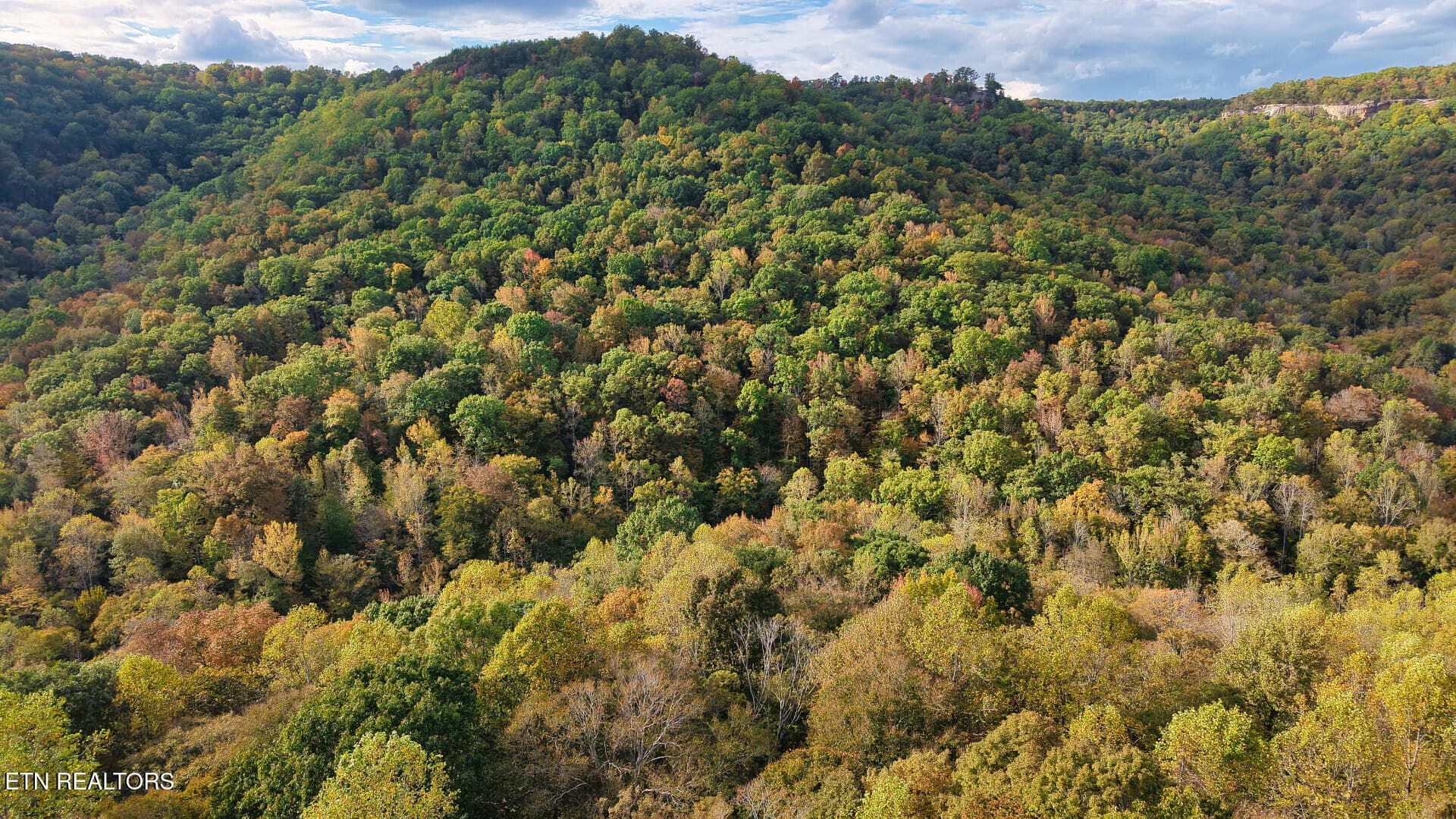 ApacheRoad_73355_20 - Apache Rd, Jamestown, TN 38556