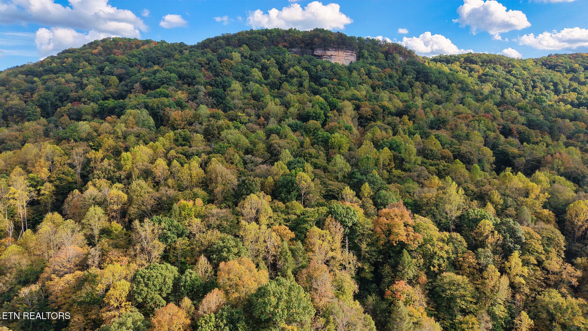ApacheRoad_73355_22 - Apache Rd, Jamestown, TN 38556