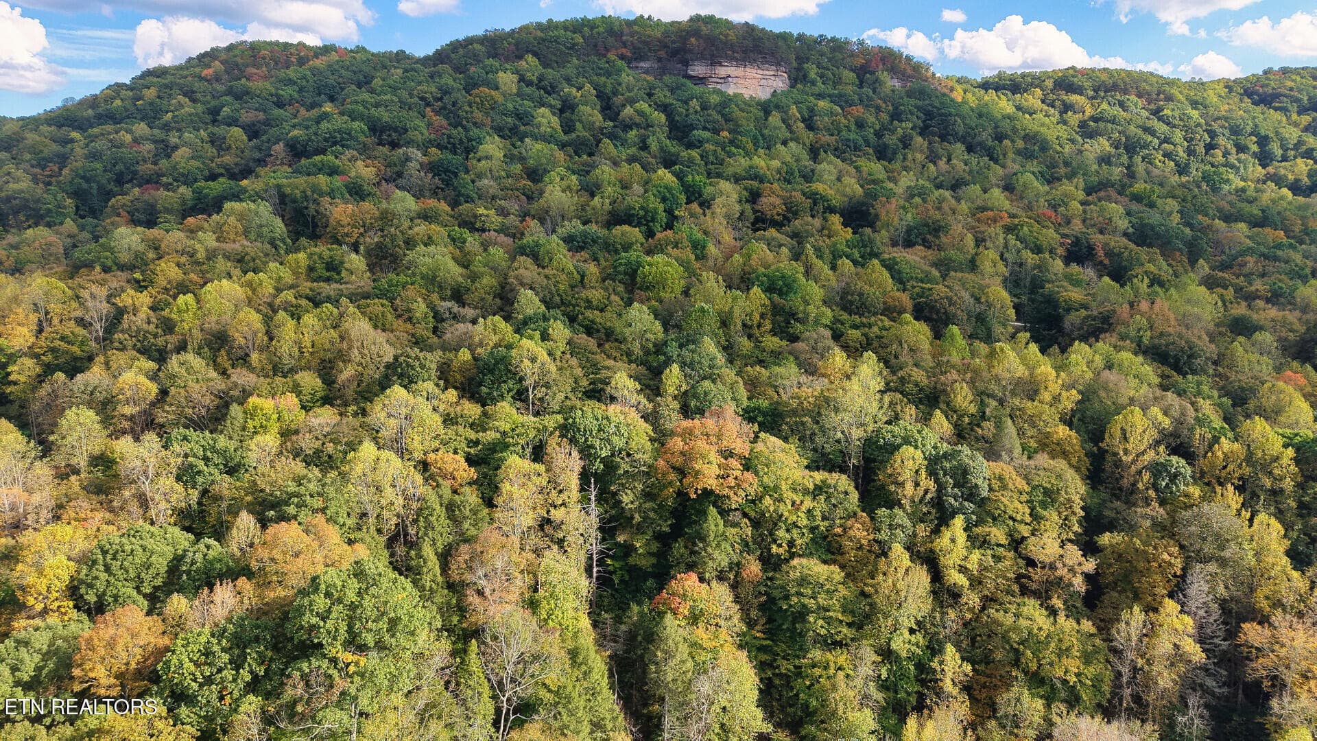 ApacheRoad_73355_23 - Apache Rd, Jamestown, TN 38556