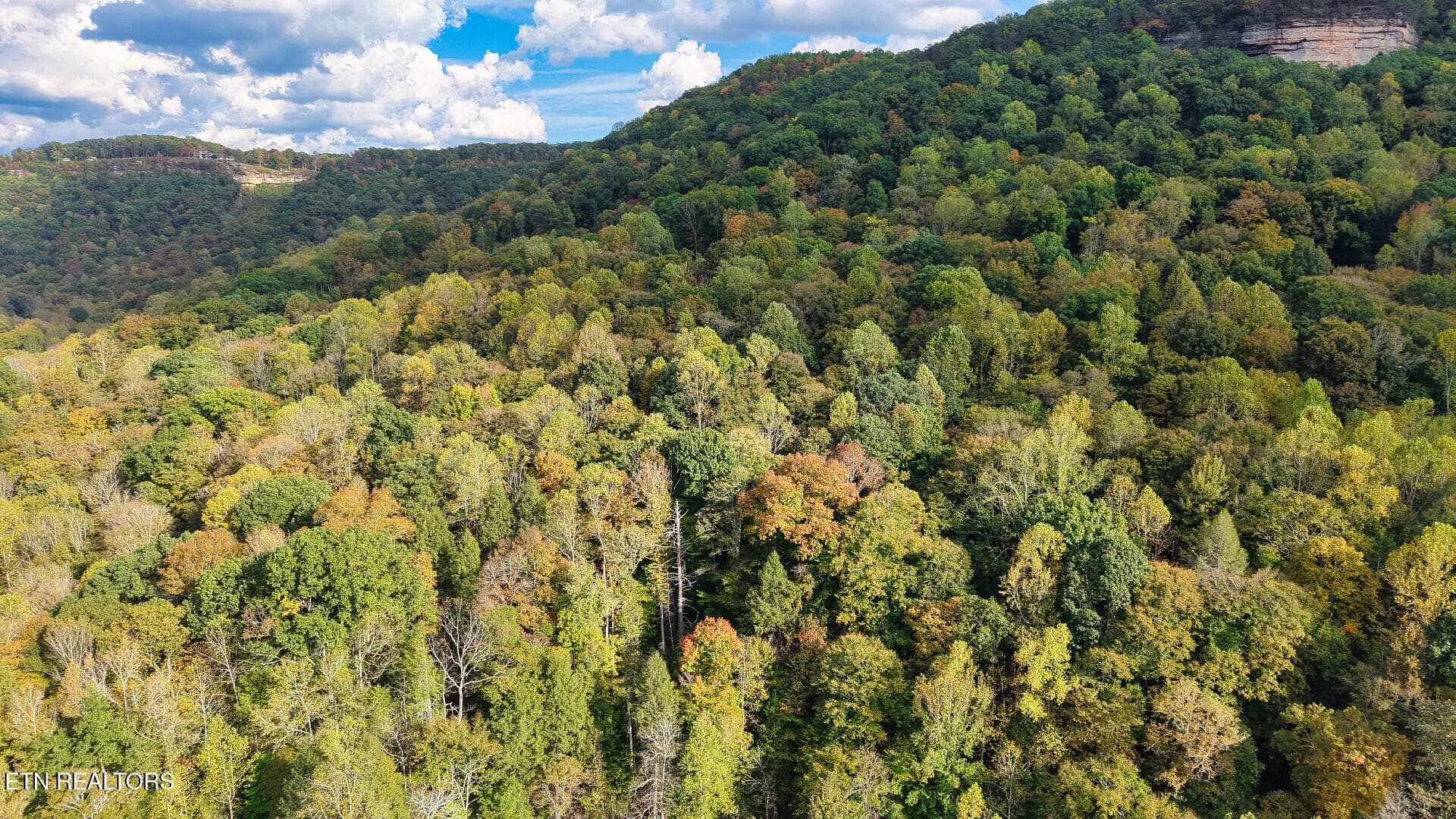 ApacheRoad_73355_25 - Apache Rd, Jamestown, TN 38556