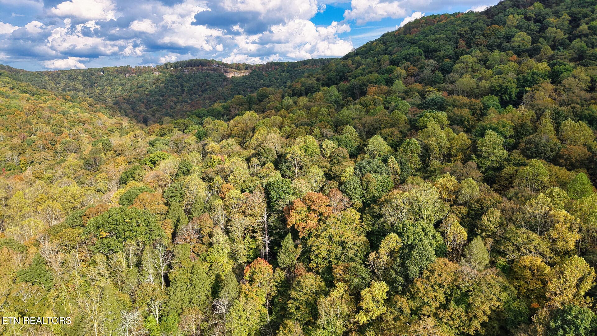 ApacheRoad_73355_26 - Apache Rd, Jamestown, TN 38556