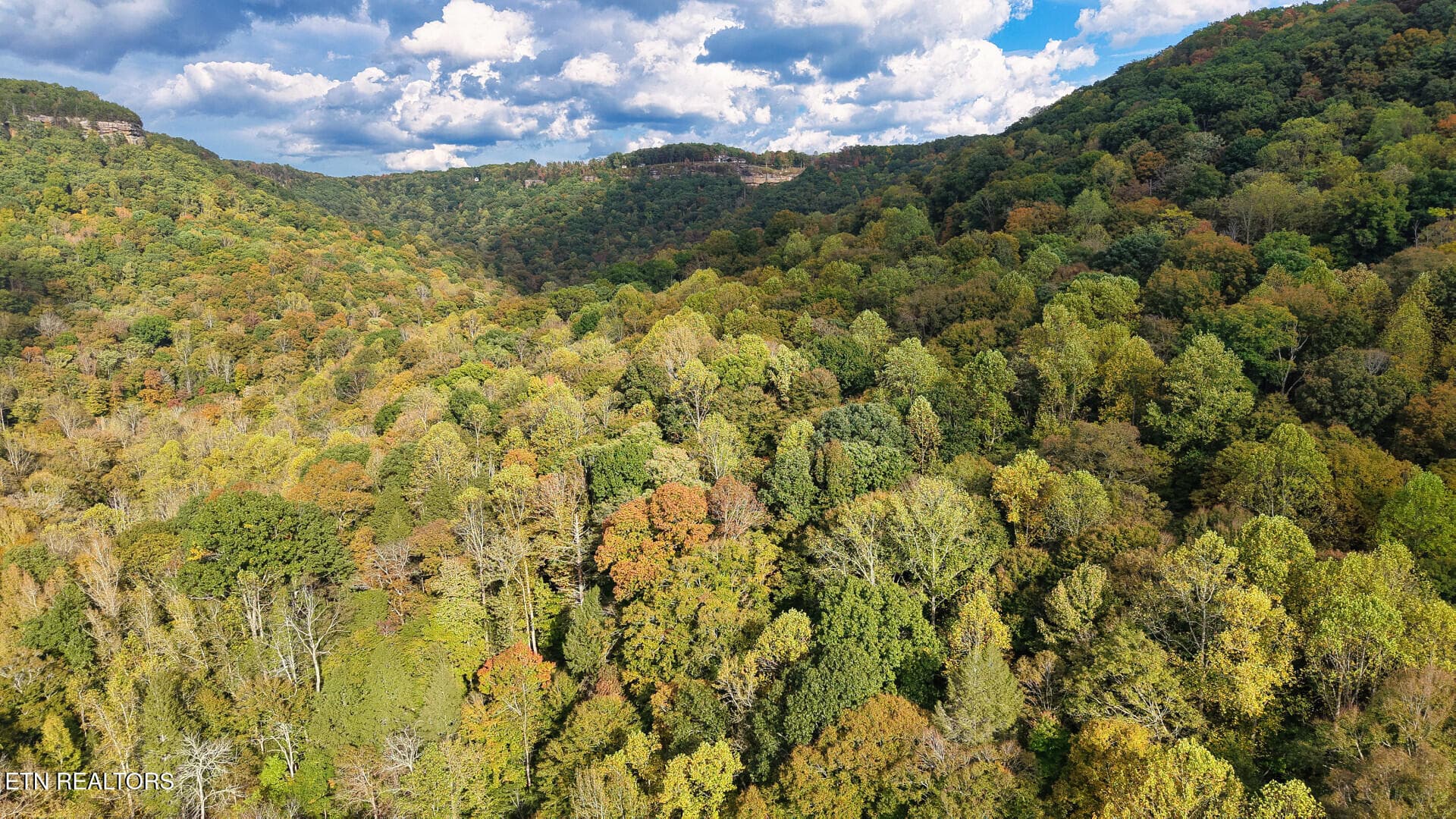 ApacheRoad_73355_27 - Apache Rd, Jamestown, TN 38556