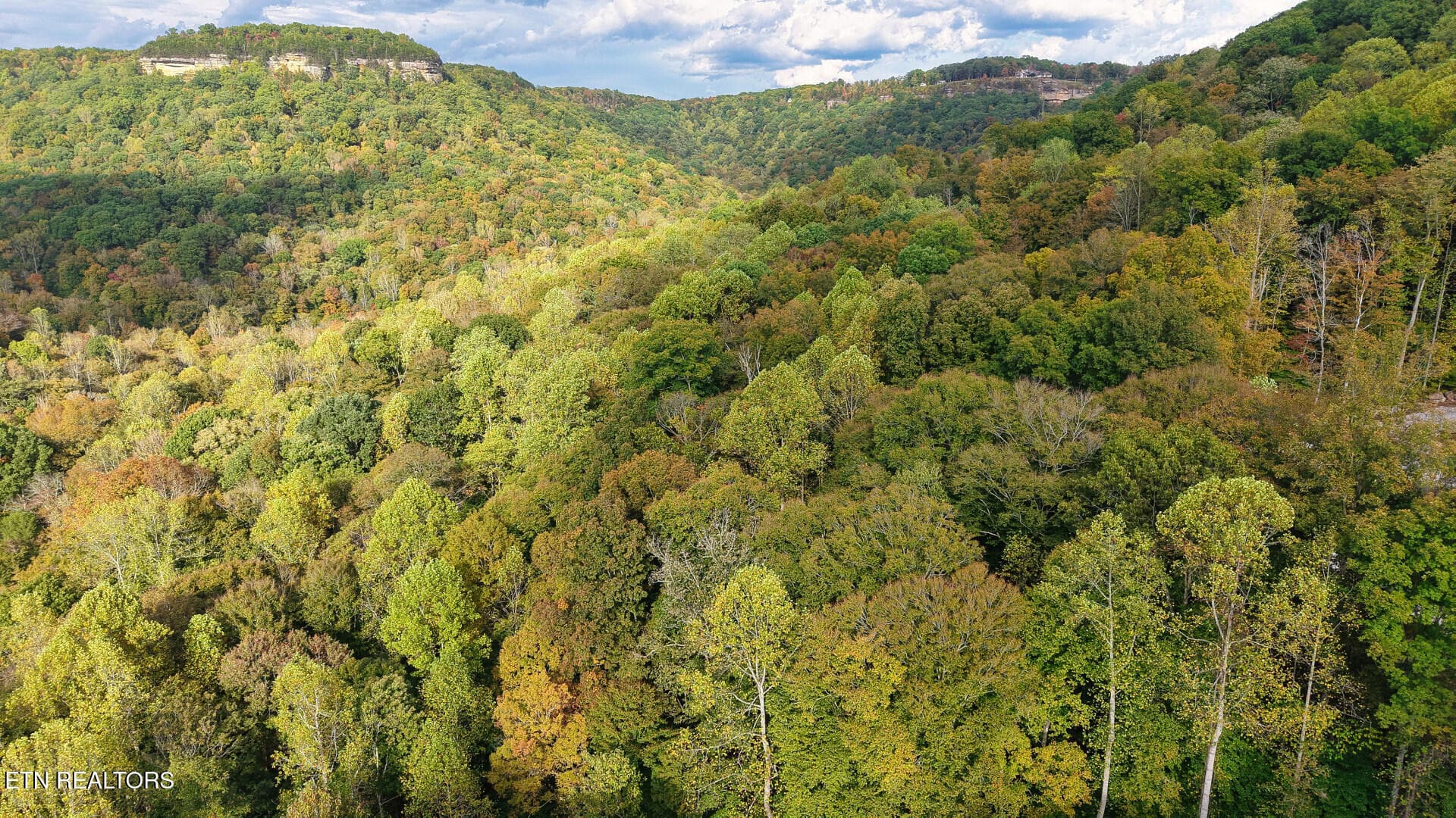 ApacheRoad_73355_29 - Apache Rd, Jamestown, TN 38556