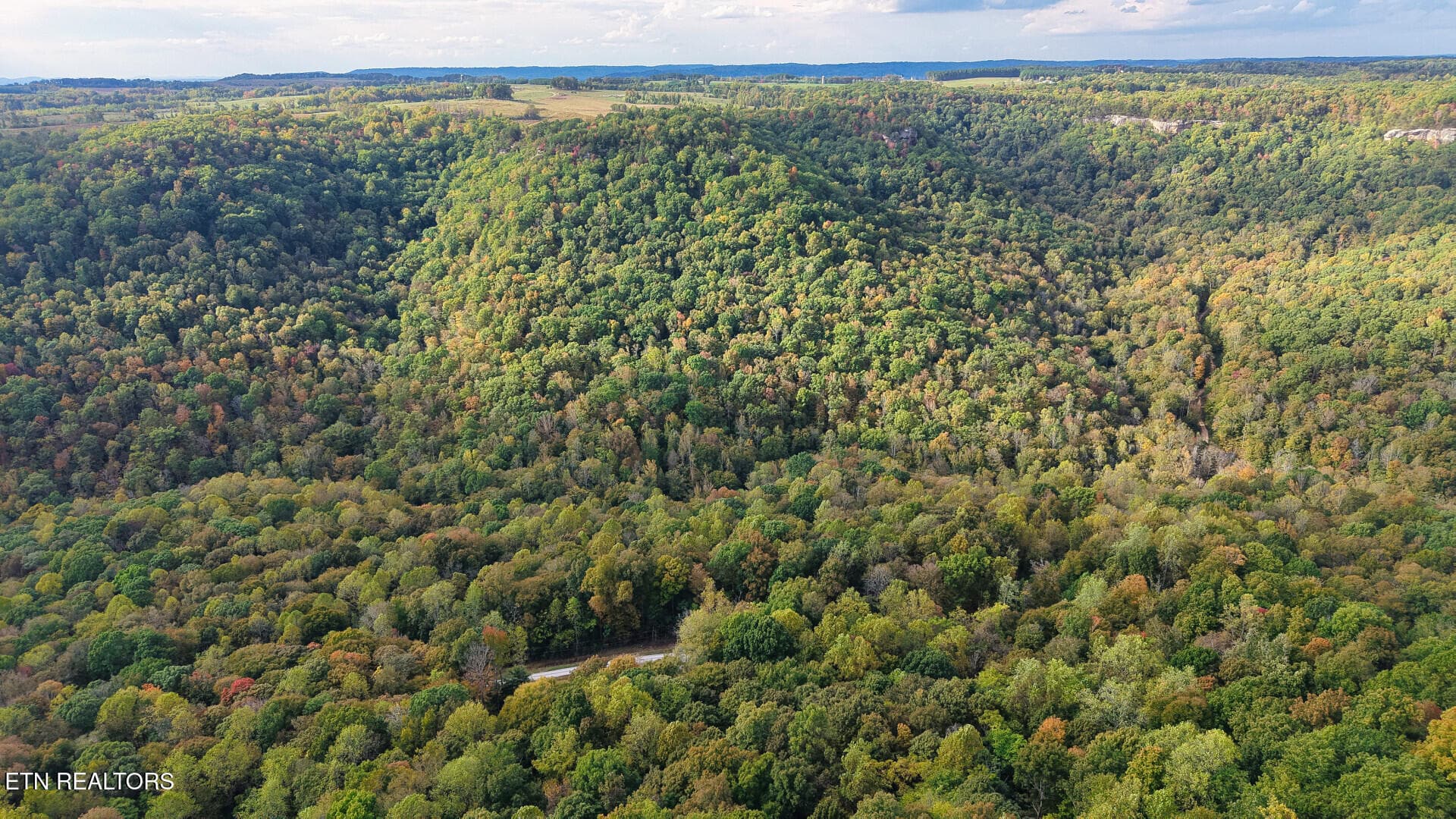 ApacheRoad_73355_31 - Apache Rd, Jamestown, TN 38556