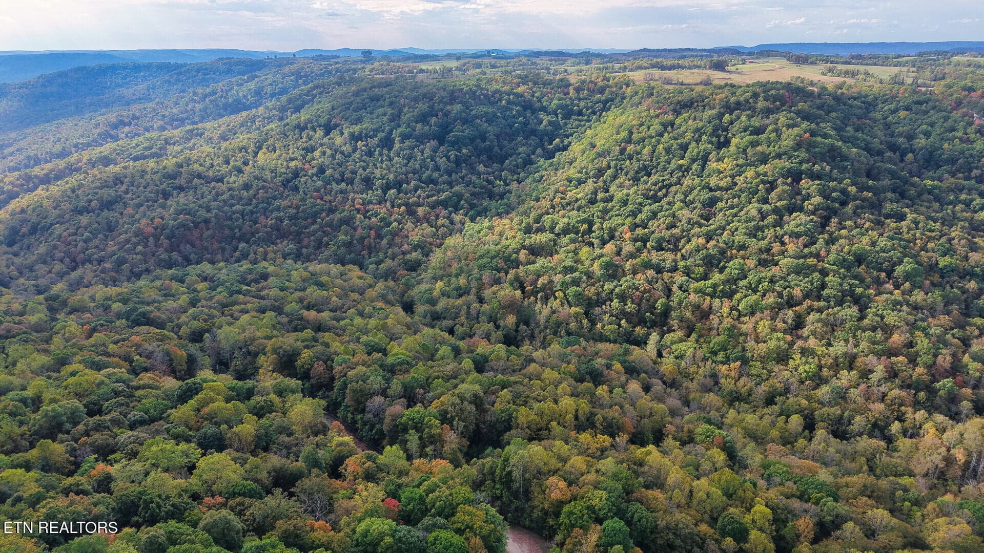ApacheRoad_73355_34 - Apache Rd, Jamestown, TN 38556