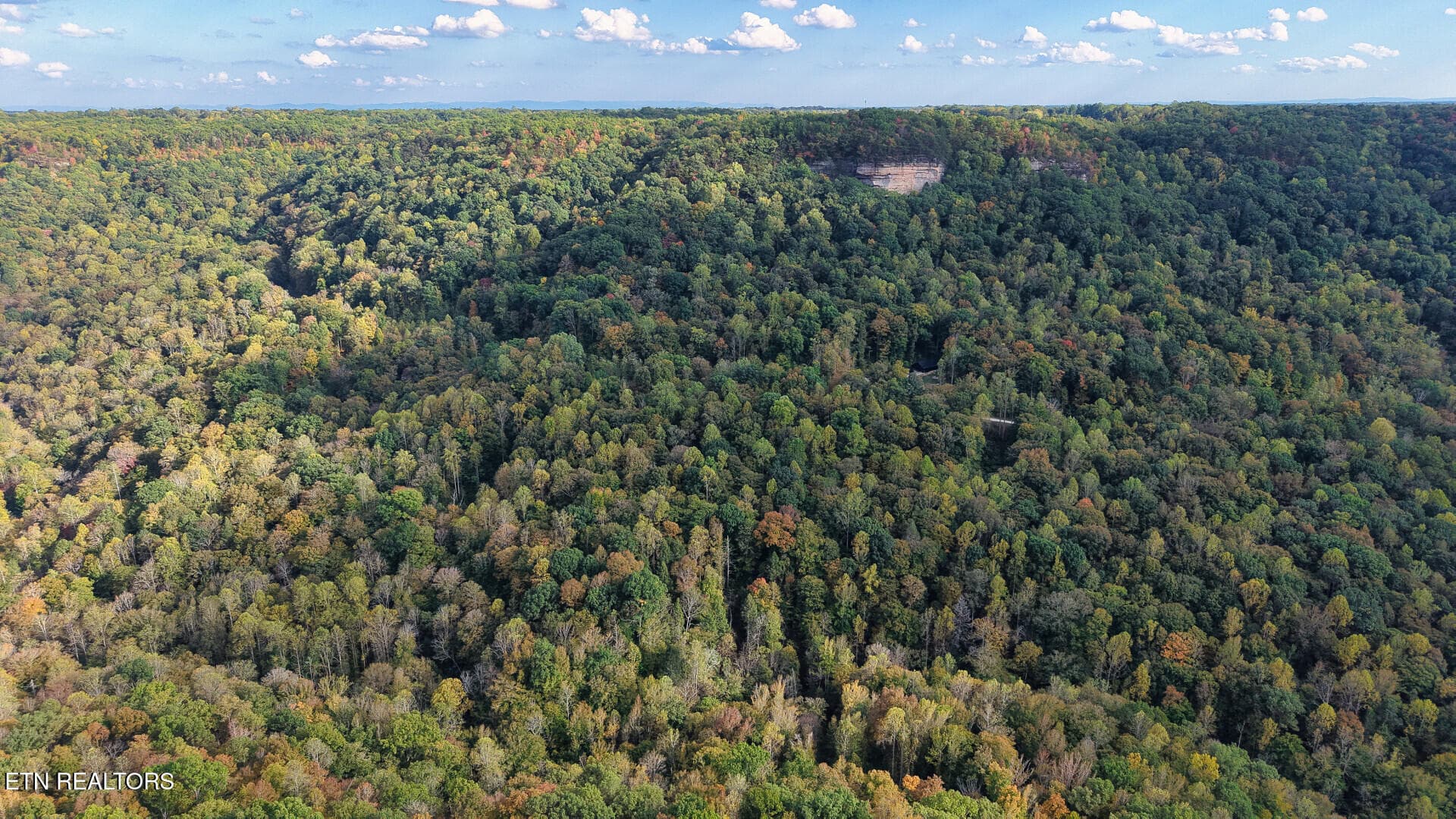 ApacheRoad_73355_40 - Apache Rd, Jamestown, TN 38556