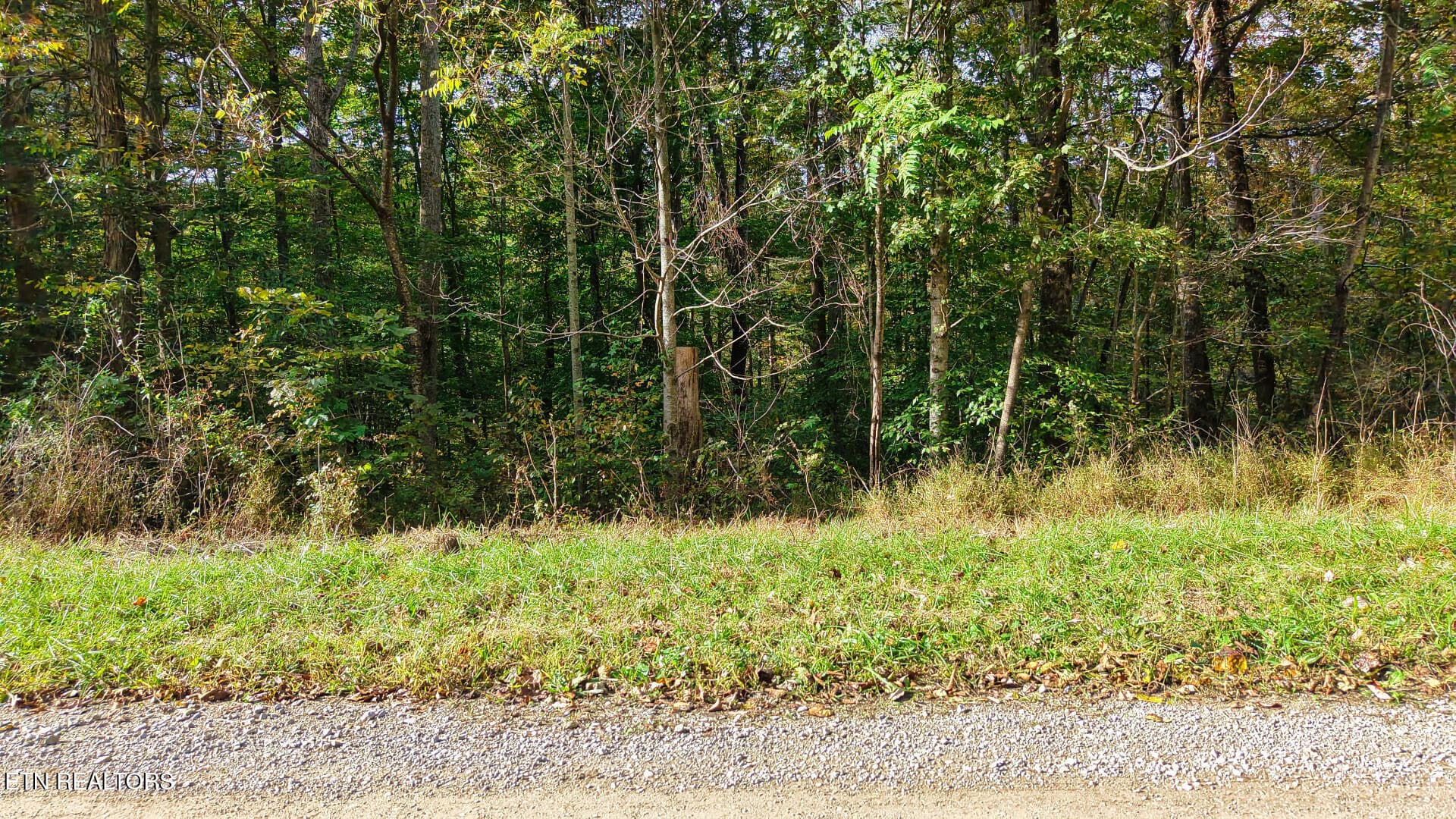 ApacheRoad_73355_49 - Apache Rd, Jamestown, TN 38556
