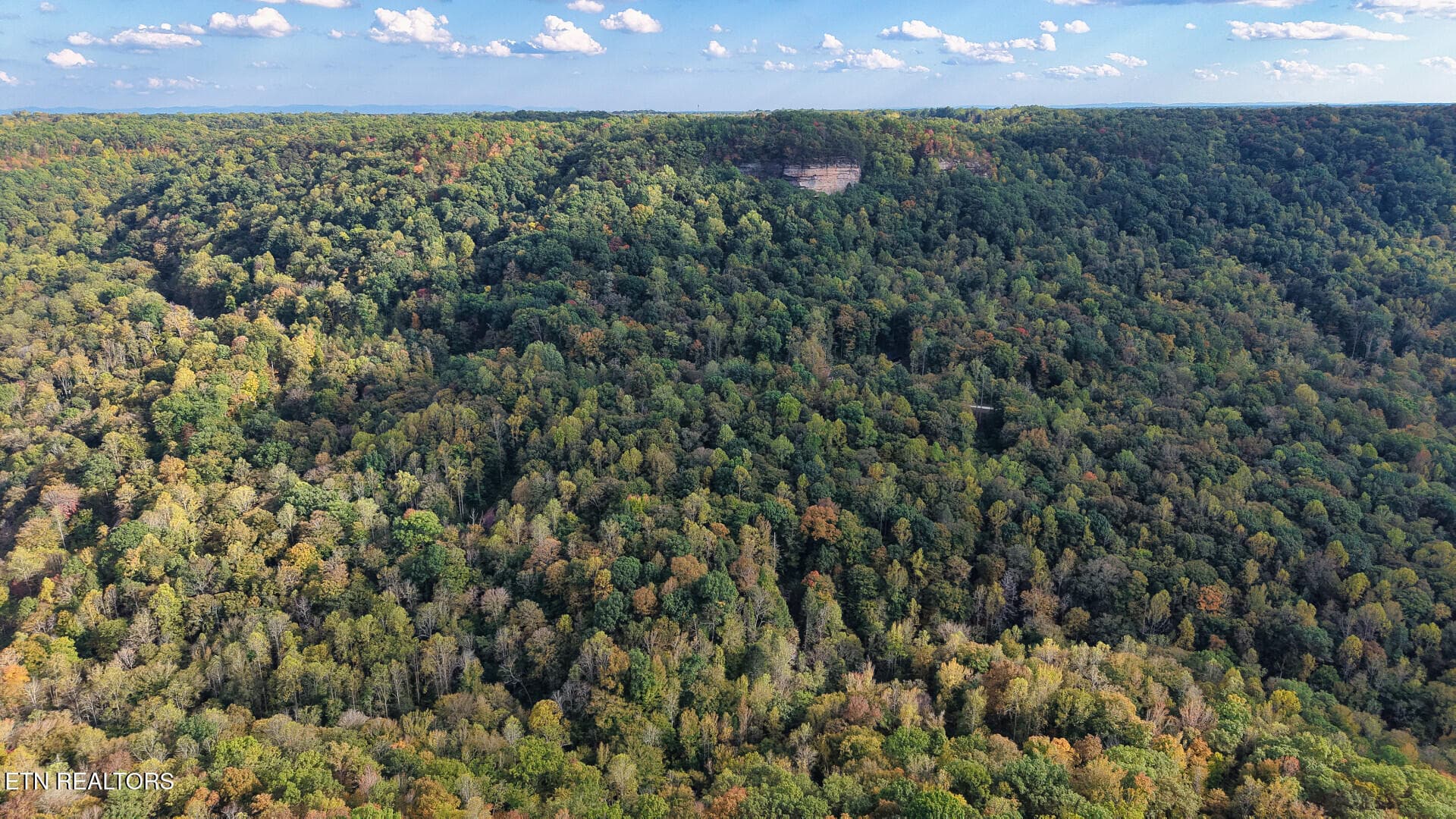 ApacheRoad_73355_55 - Apache Rd, Jamestown, TN 38556