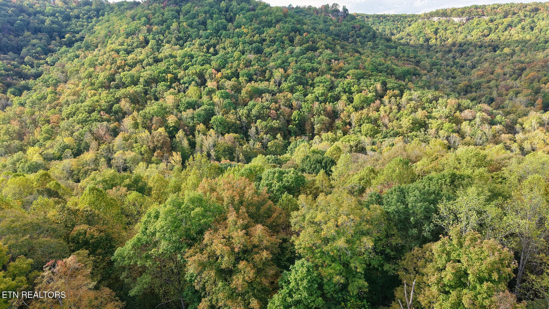 ApacheRoad_73355_12 - Apache Rd, Jamestown, TN 38556