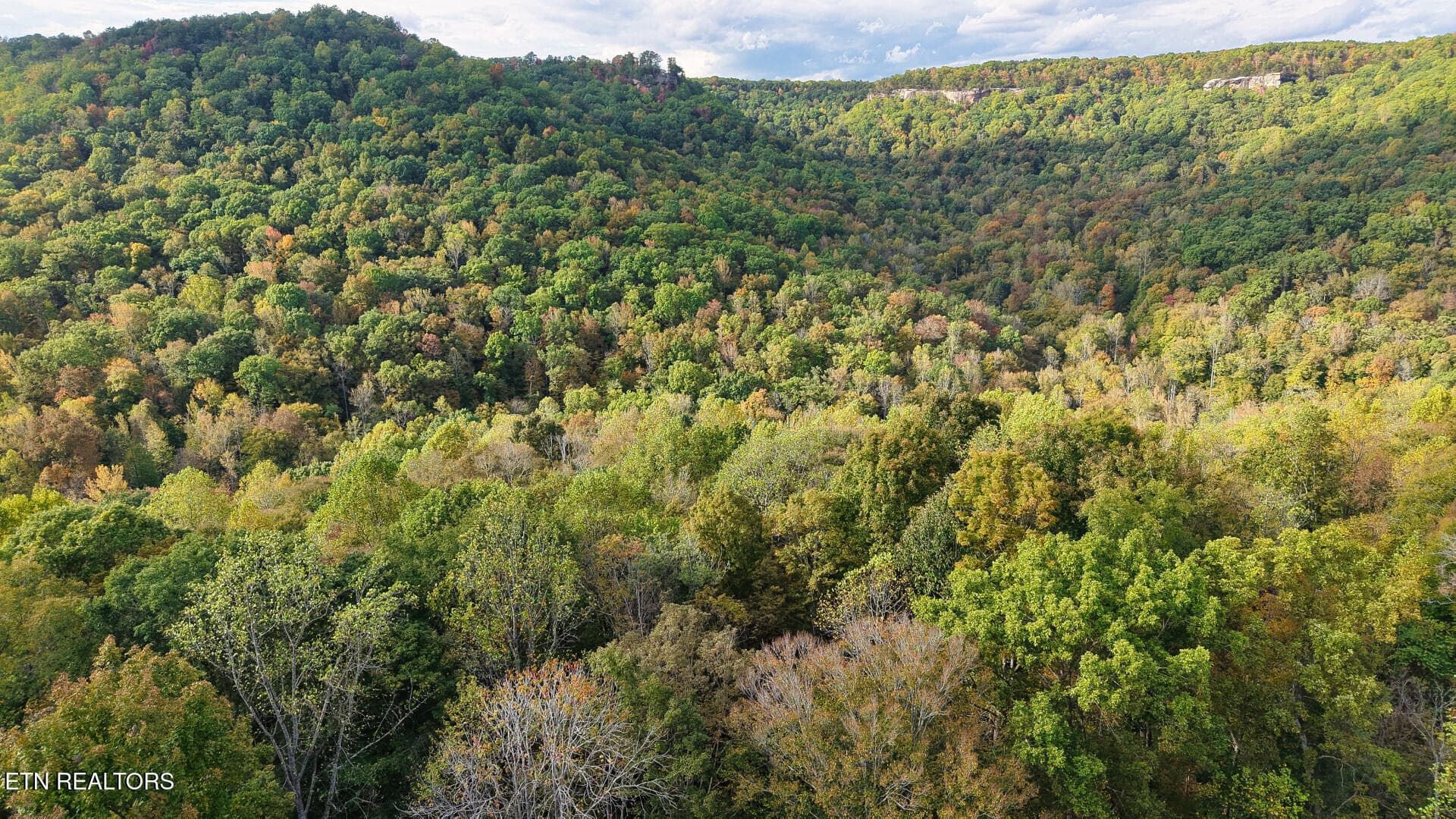 ApacheRoad_73355_13 - Apache Rd, Jamestown, TN 38556