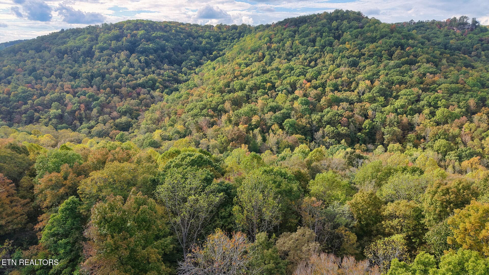 ApacheRoad_73355_14 - Apache Rd, Jamestown, TN 38556