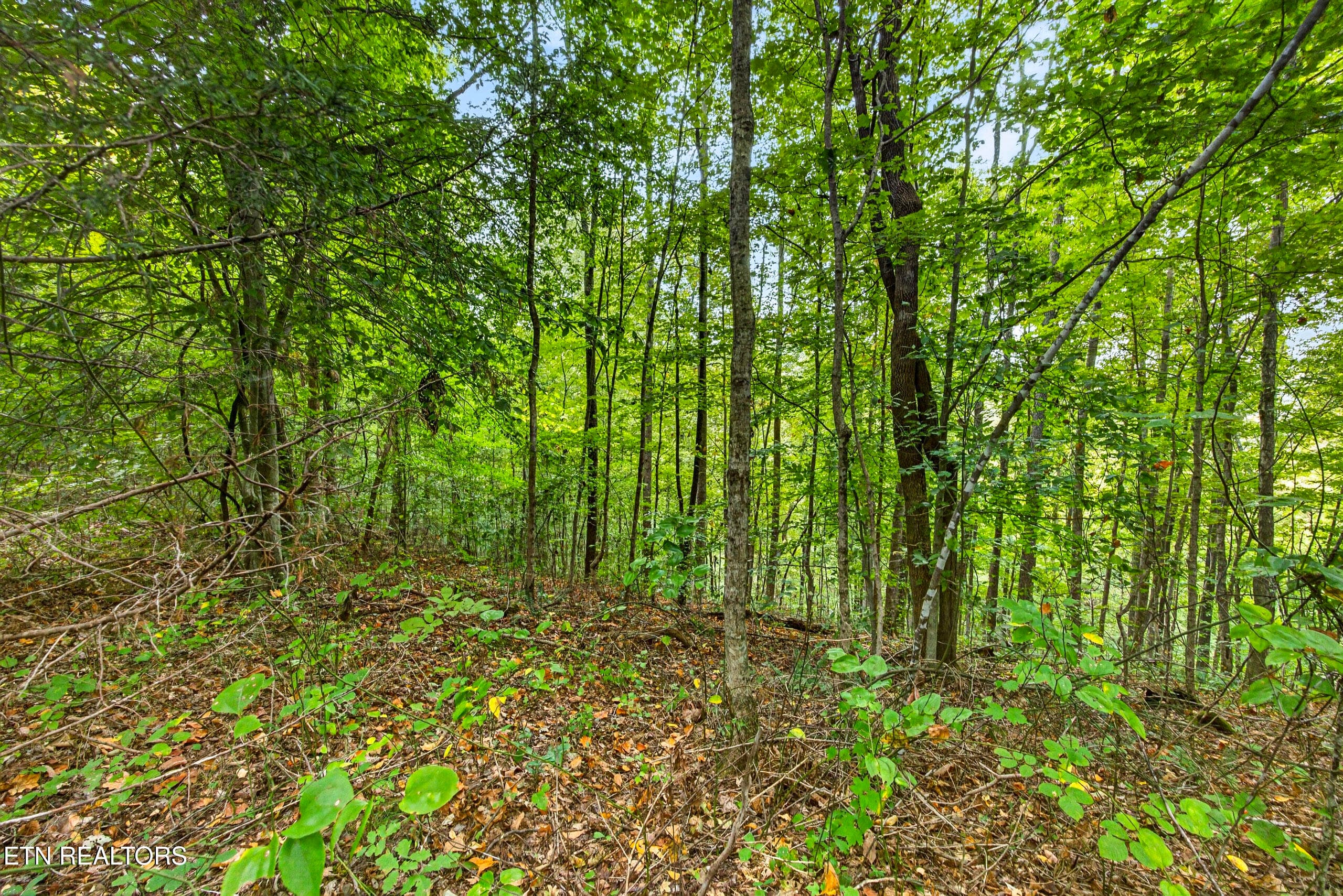 1-8N5A6658 - Lot 30&31 Timber Ridge Lane, Celina, TN 38551