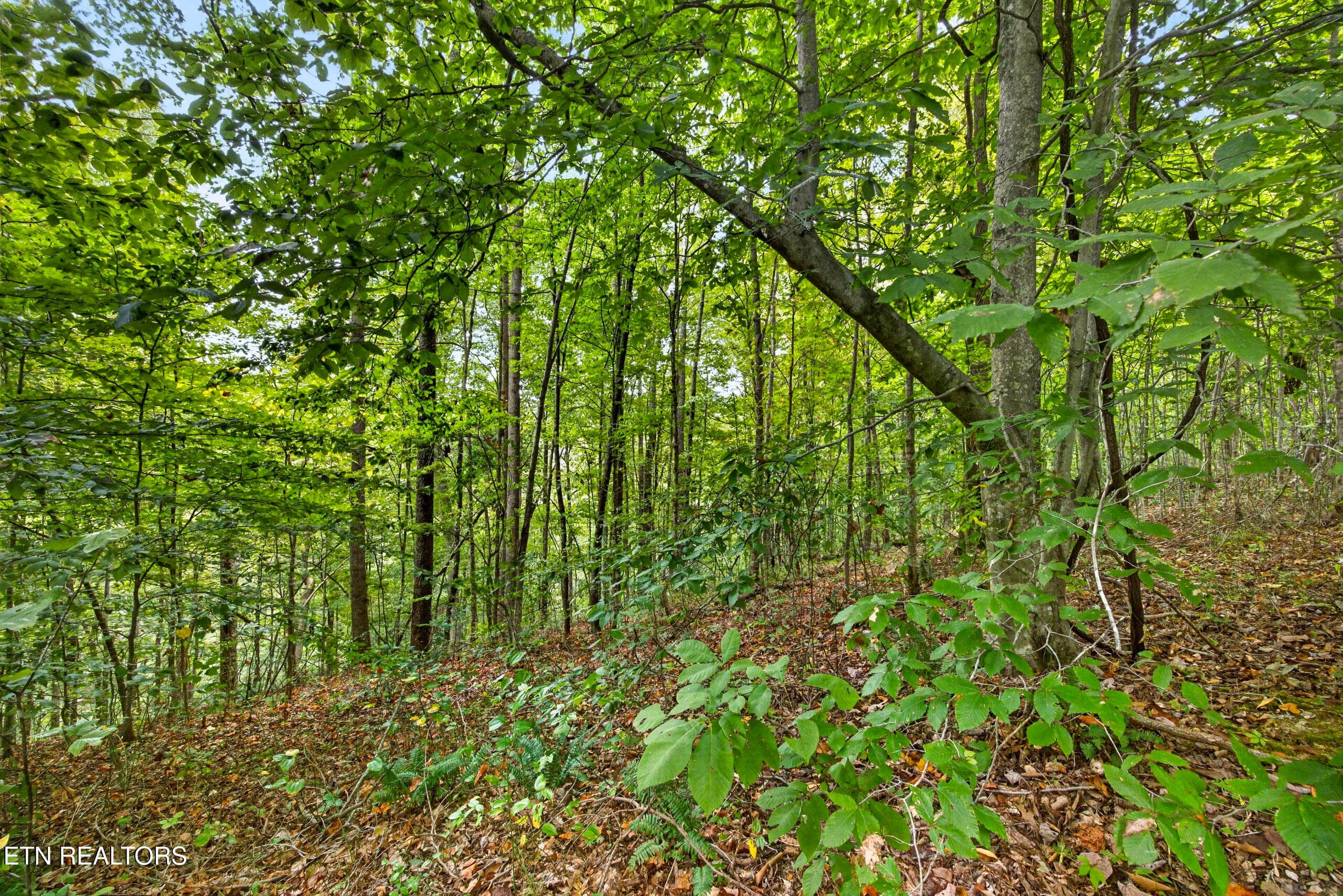 2-8N5A6653 - Lot 30&31 Timber Ridge Lane, Celina, TN 38551