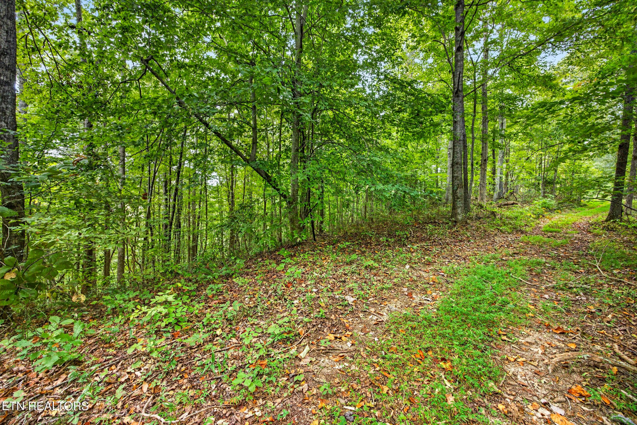3-8N5A6646 - Lot 30&31 Timber Ridge Lane, Celina, TN 38551