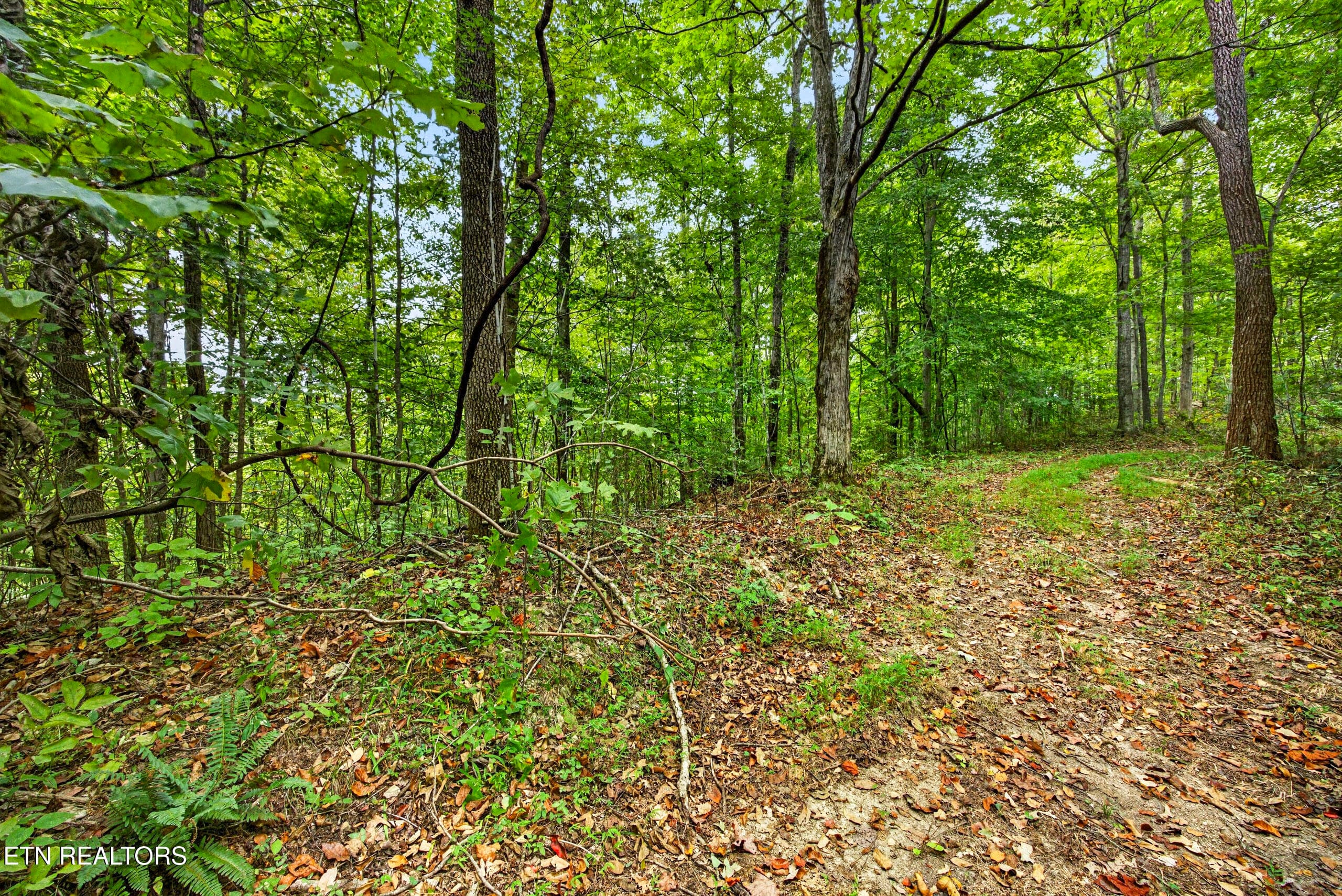 4-8N5A6634 - Lot 30&31 Timber Ridge Lane, Celina, TN 38551