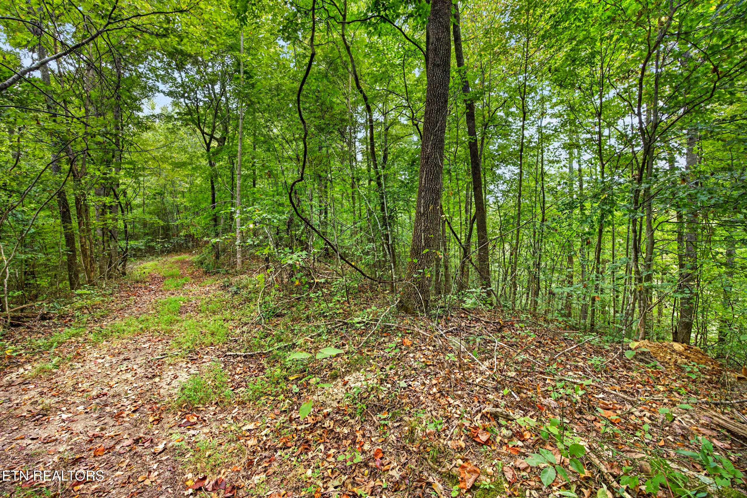 5-8N5A6639 - Lot 30&31 Timber Ridge Lane, Celina, TN 38551