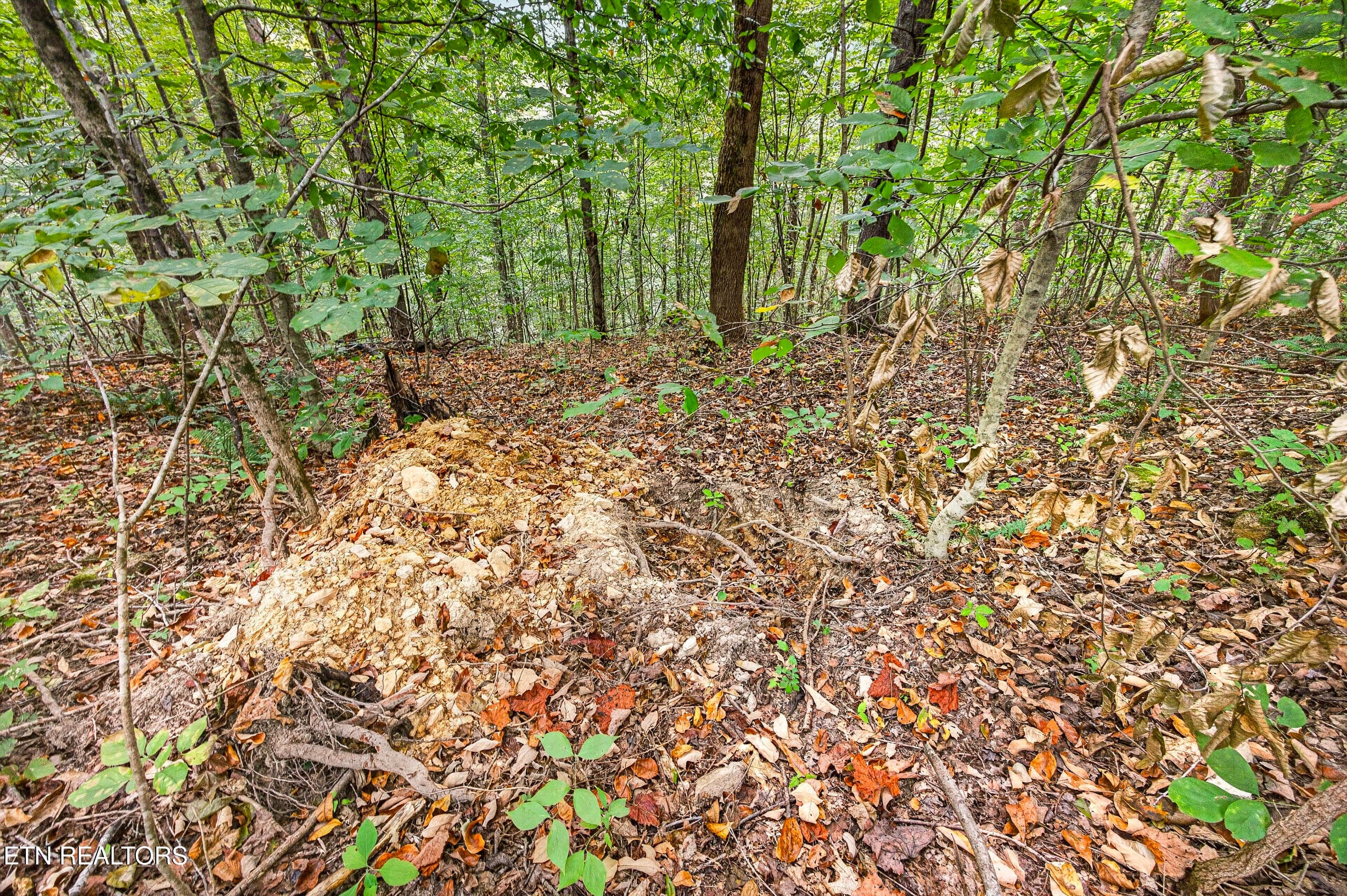 7-8N5A6642 - Lot 30&31 Timber Ridge Lane, Celina, TN 38551
