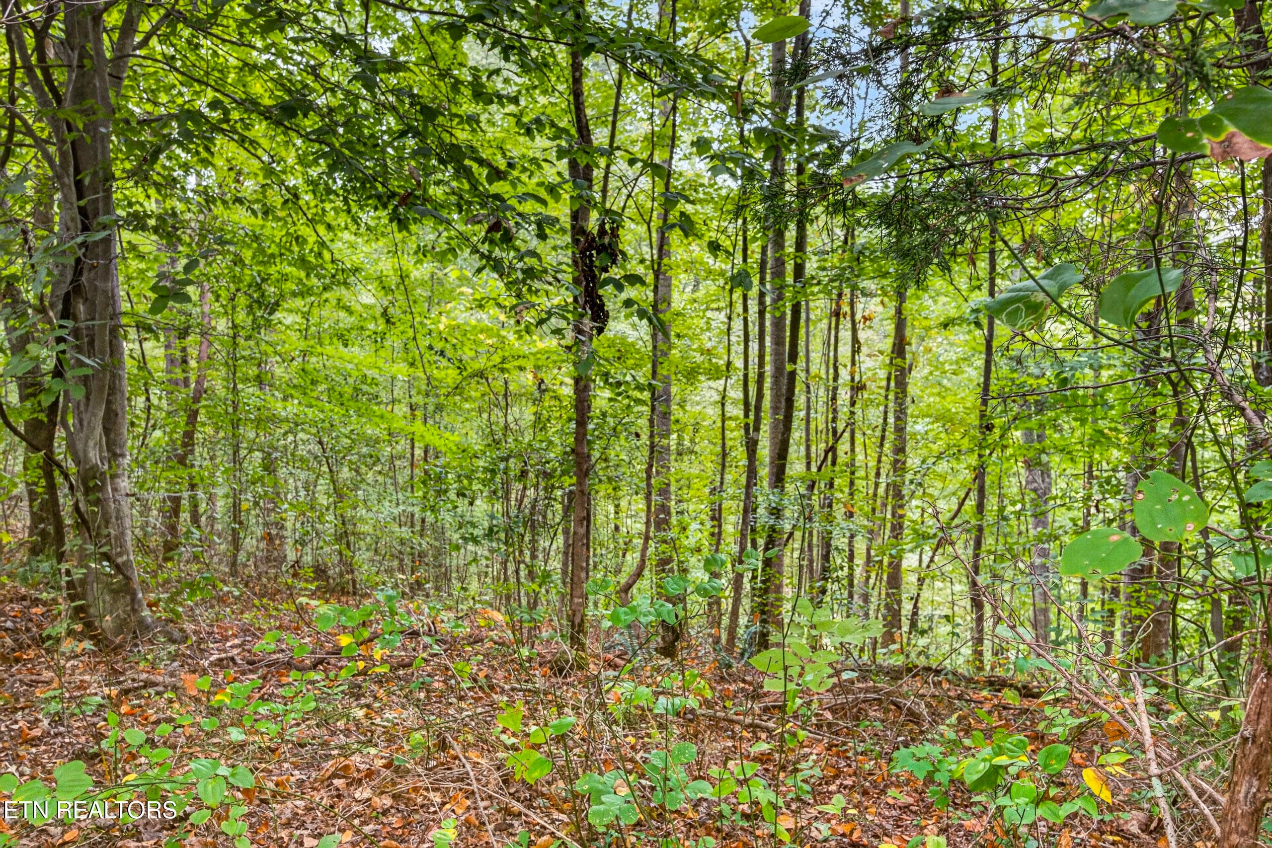 8-8N5A6660 - Lot 30&31 Timber Ridge Lane, Celina, TN 38551