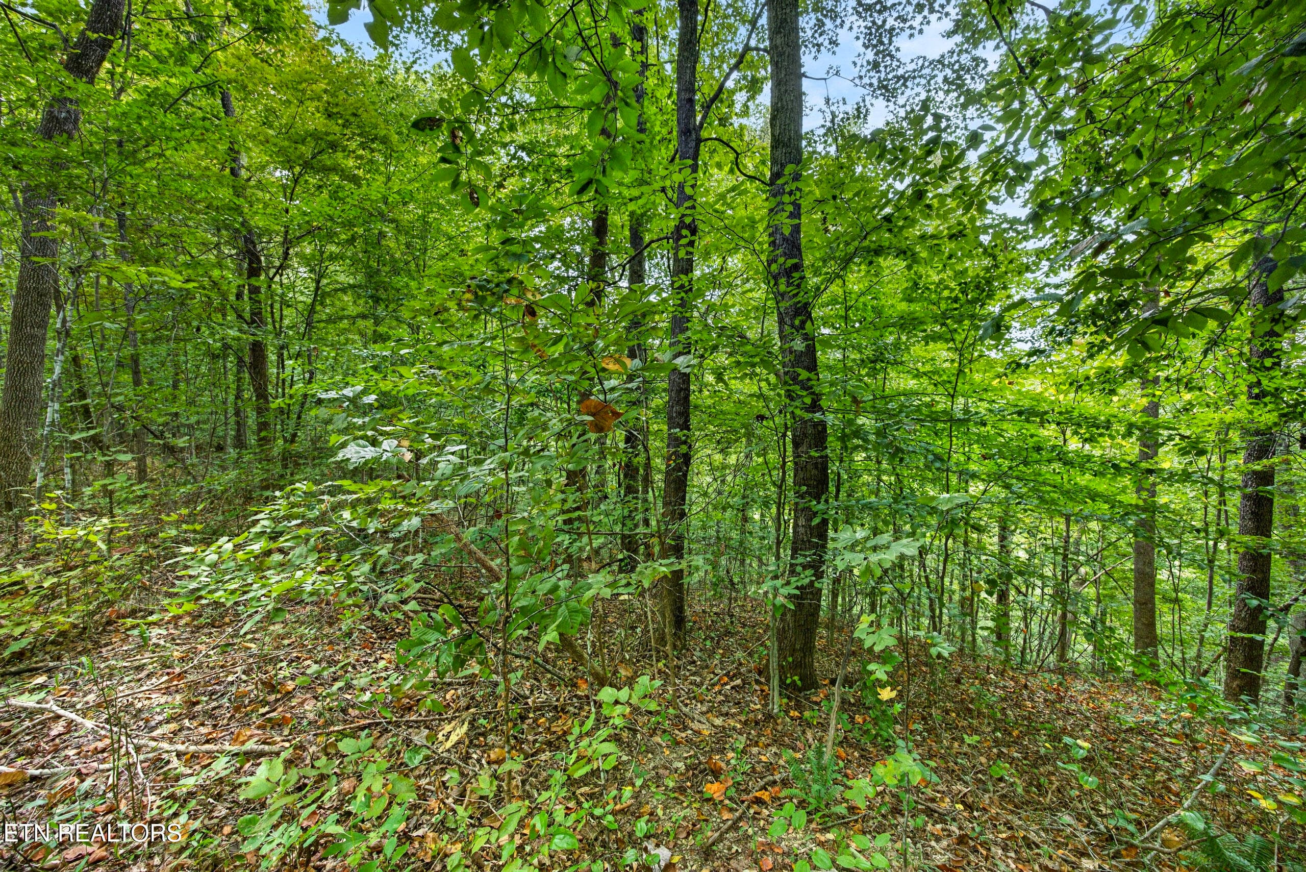 10-8N5A6648 - Lot 30&31 Timber Ridge Lane, Celina, TN 38551