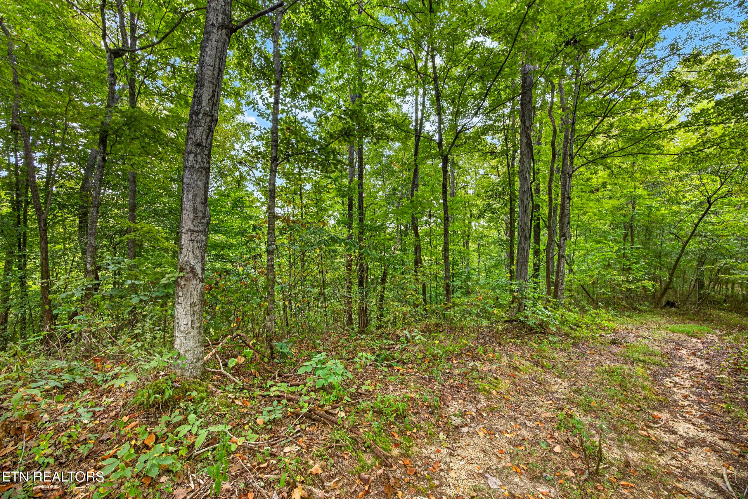 1-8N5A6542 - Lot 30&31 Timber Ridge Lane, Celina, TN 38551