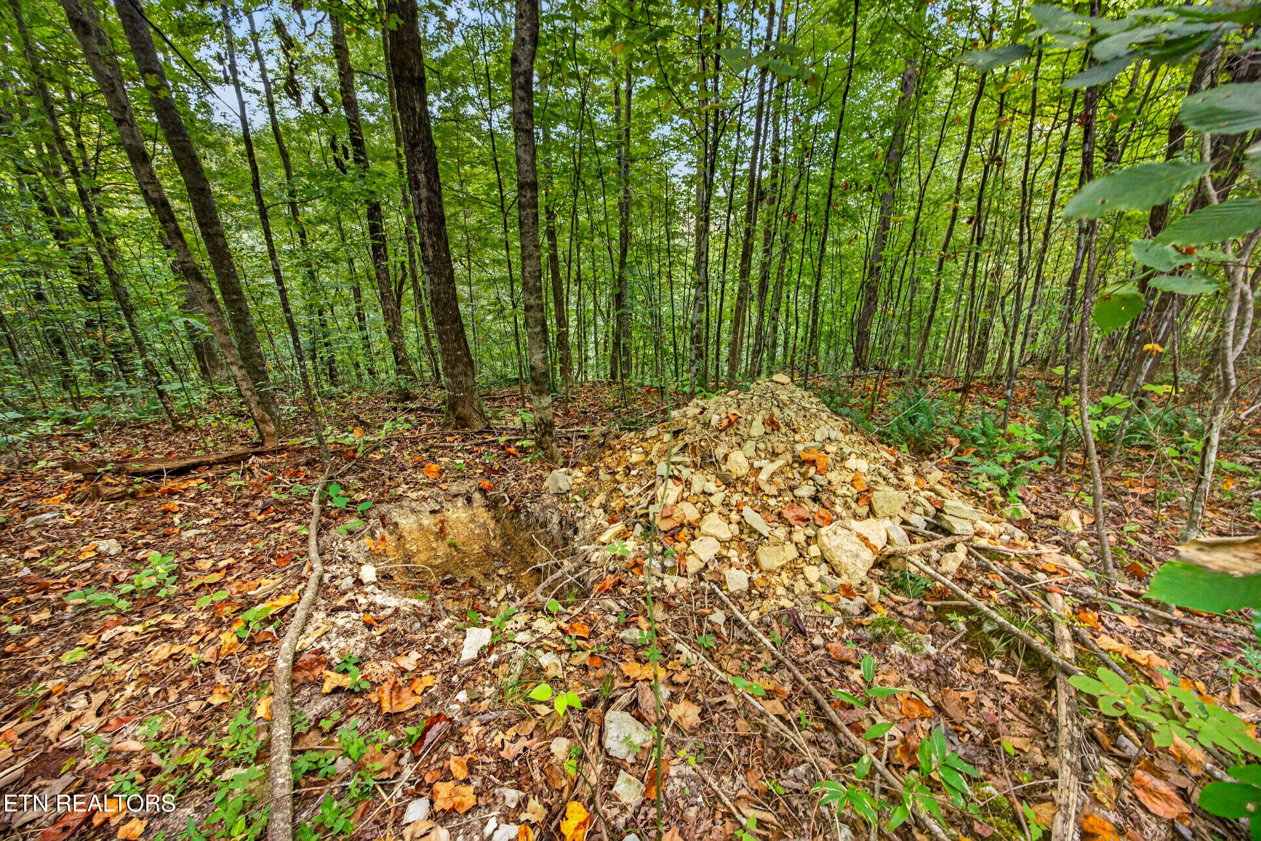 2-8N5A6629 - Lot 30&31 Timber Ridge Lane, Celina, TN 38551
