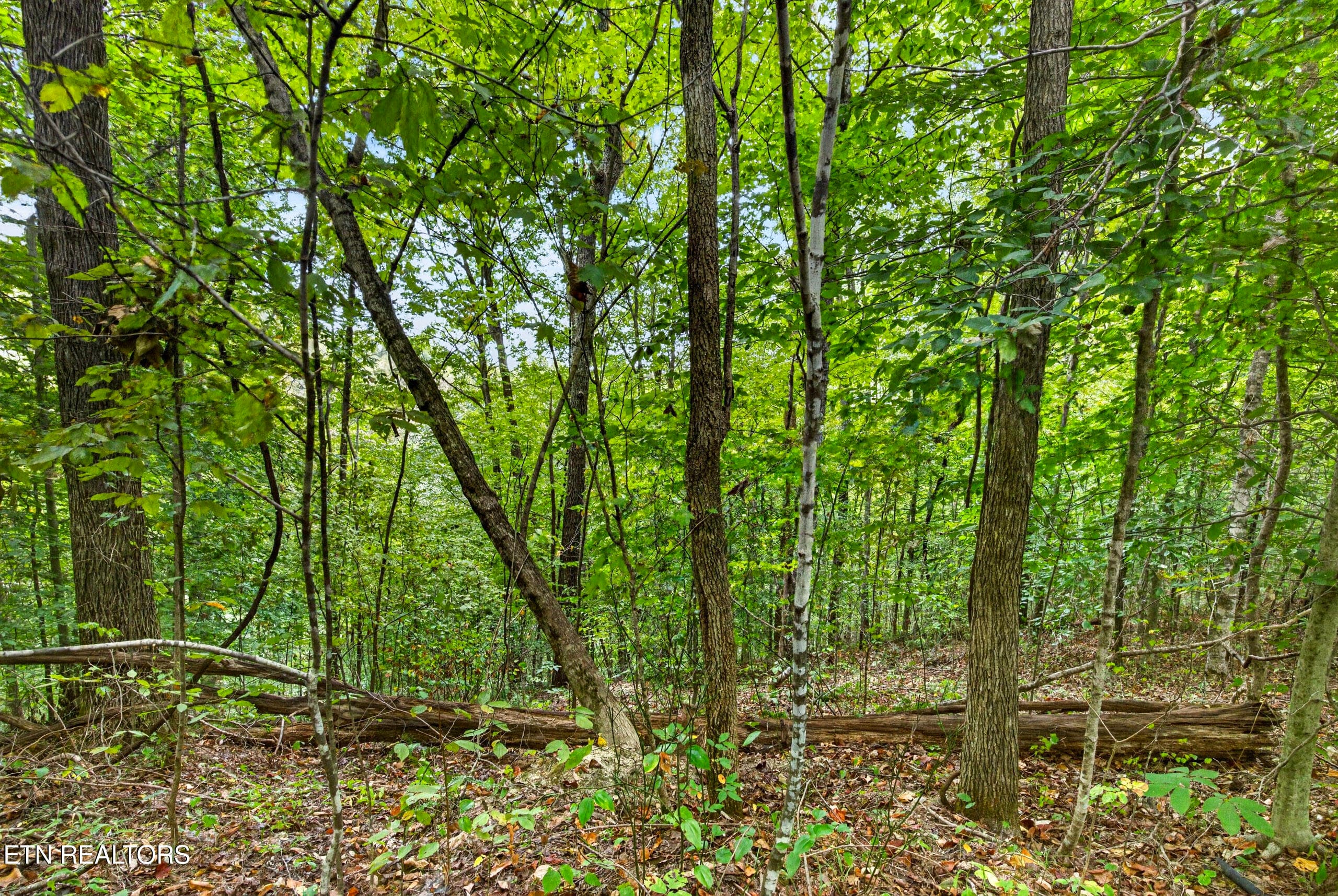 3-8N5A6605 - Lot 30&31 Timber Ridge Lane, Celina, TN 38551